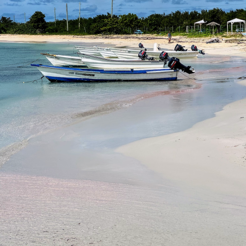 pink sand beach, Antigua and Barbuda