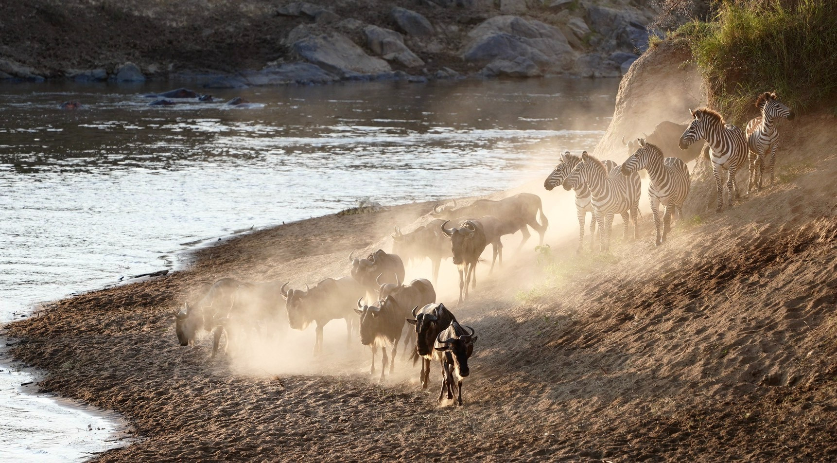 Maasai Mara, Kenya