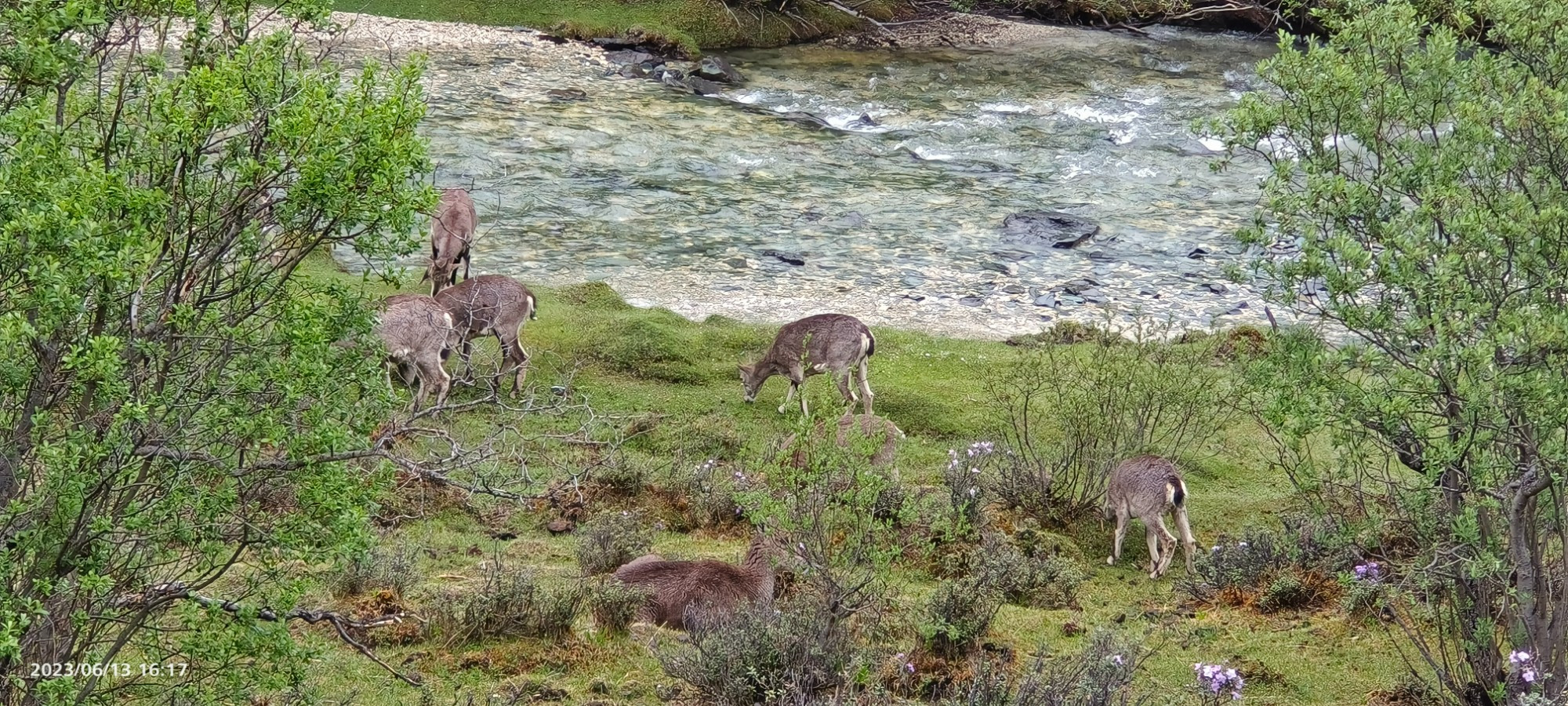 daocheng, China