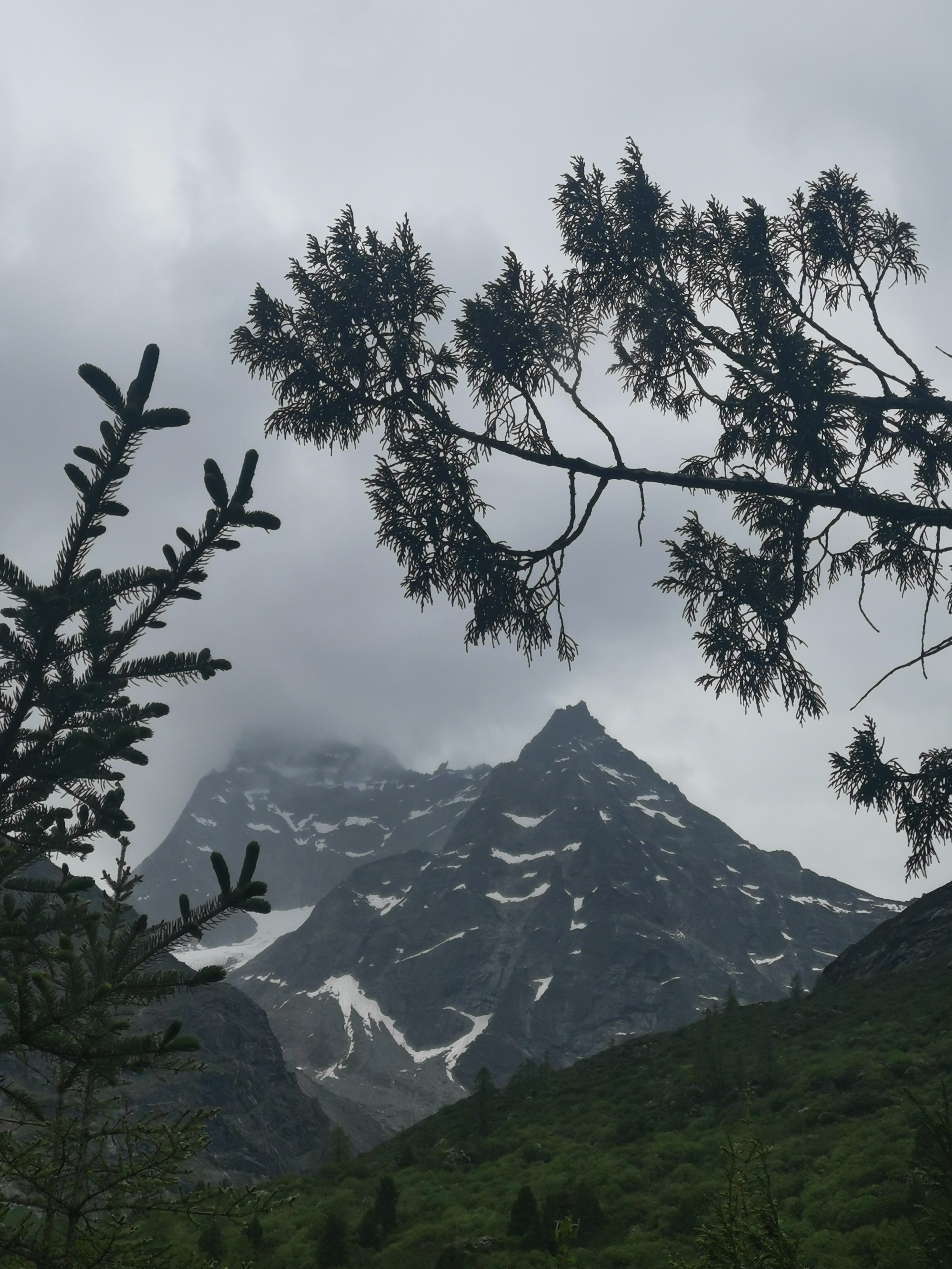 四姑娘山雙橋溝20230610