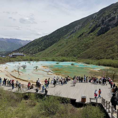 四川黃龍20230610, China