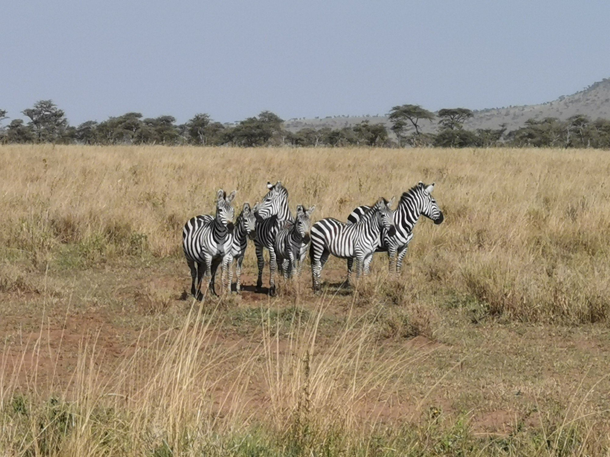 Kenya