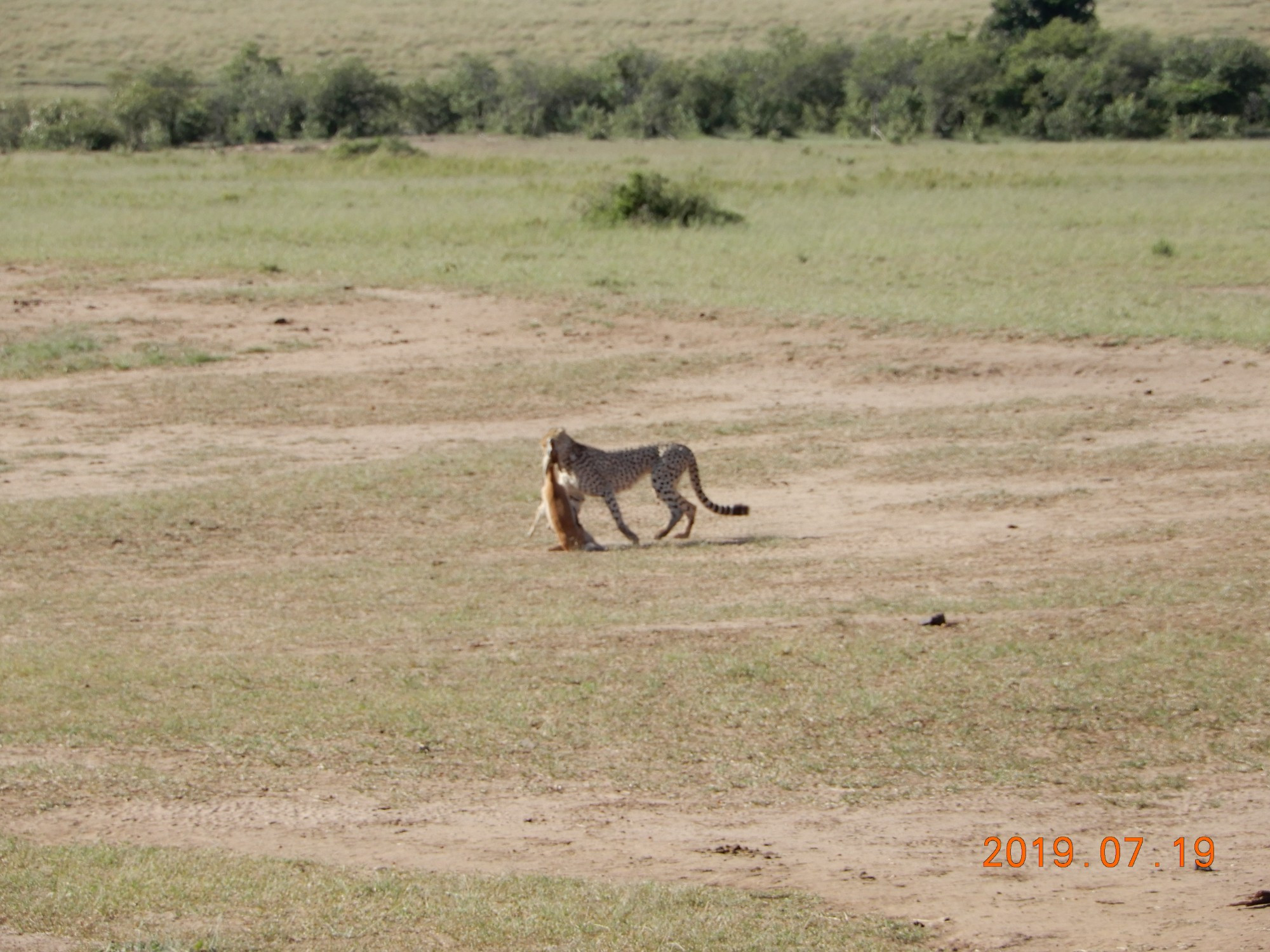 Kenya