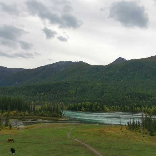 Xinjiang Kanas National Park, China