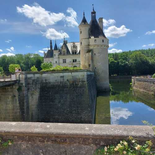 Chateau-de-chenonceau in Loire Valley