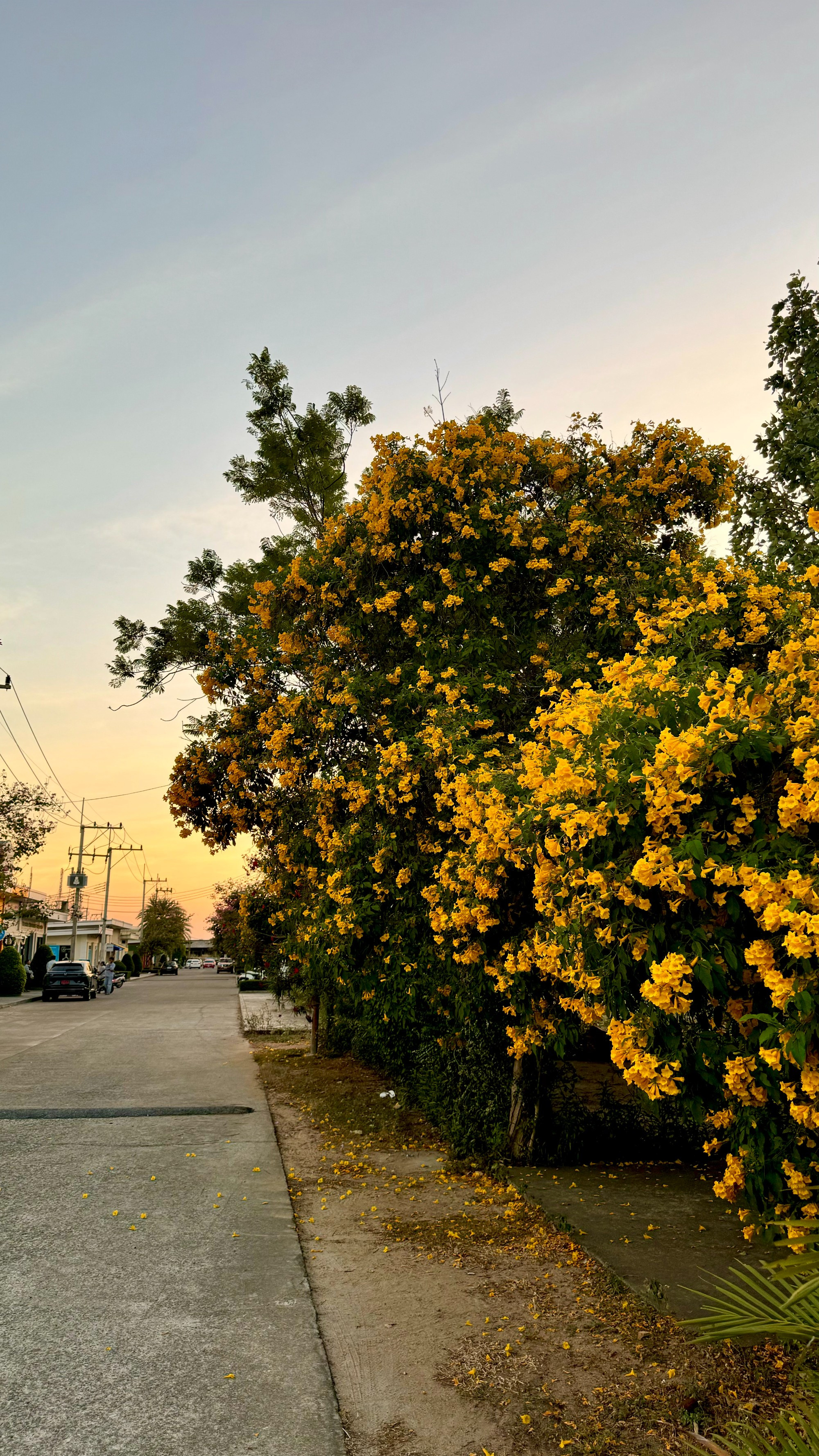 Pattaya, Thailand