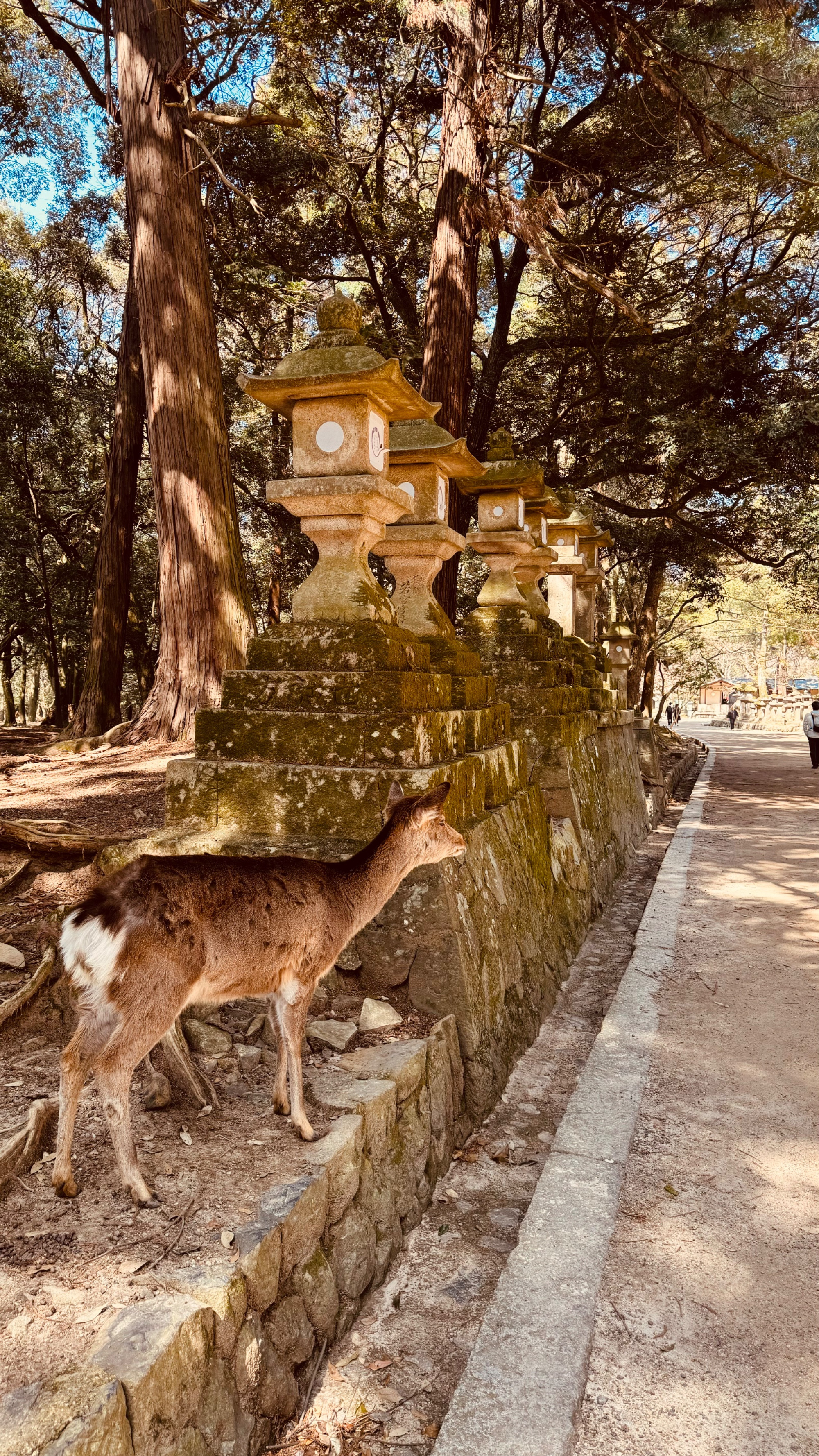 Nara, Japan