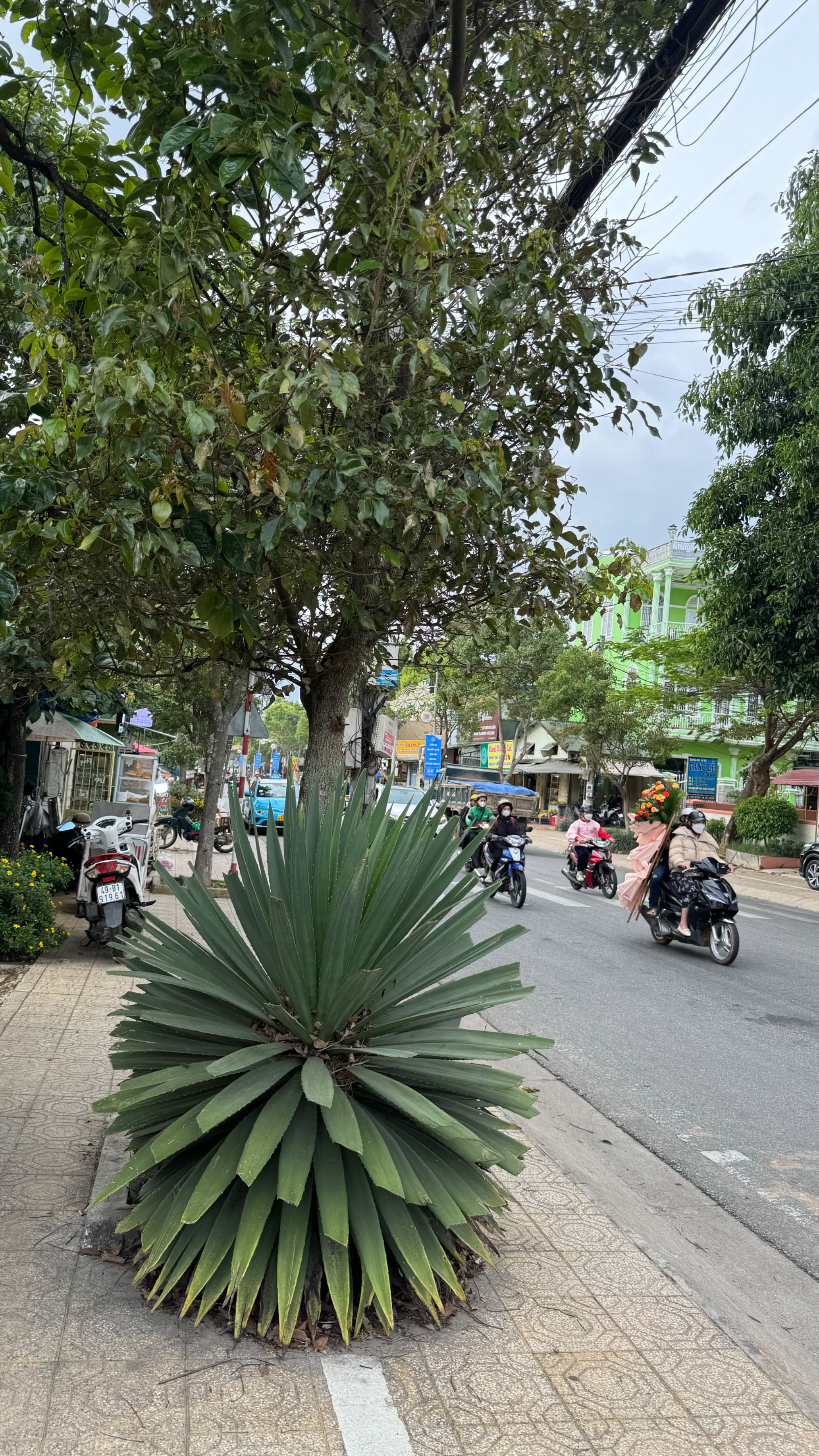 Da Lat, Vietnam