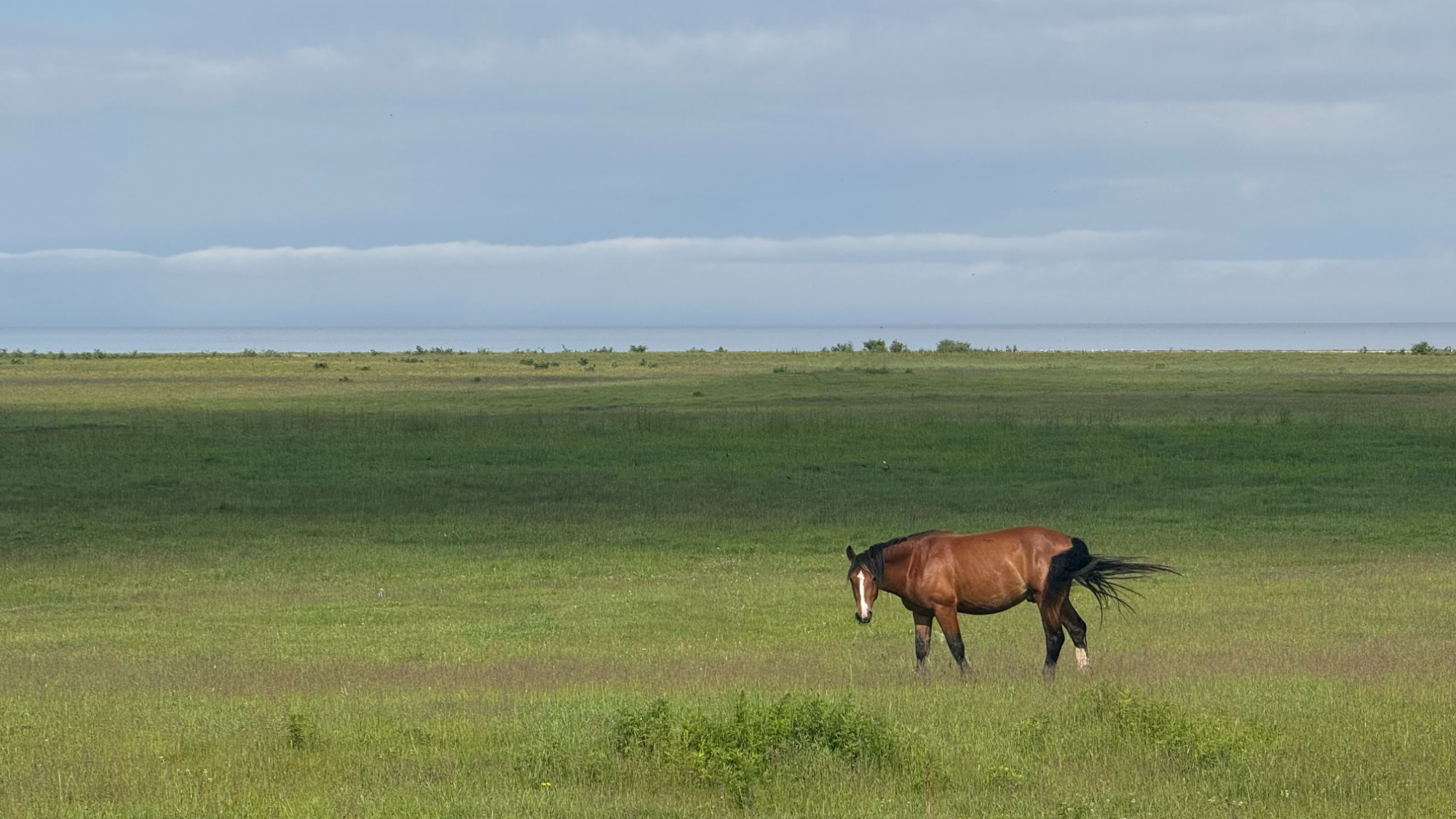 Дулан, Russia