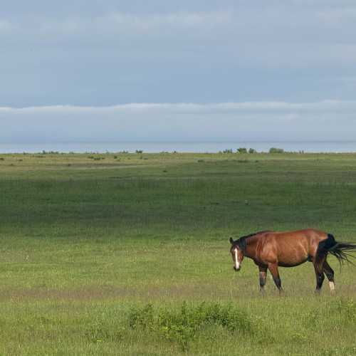 Дулан, Russia