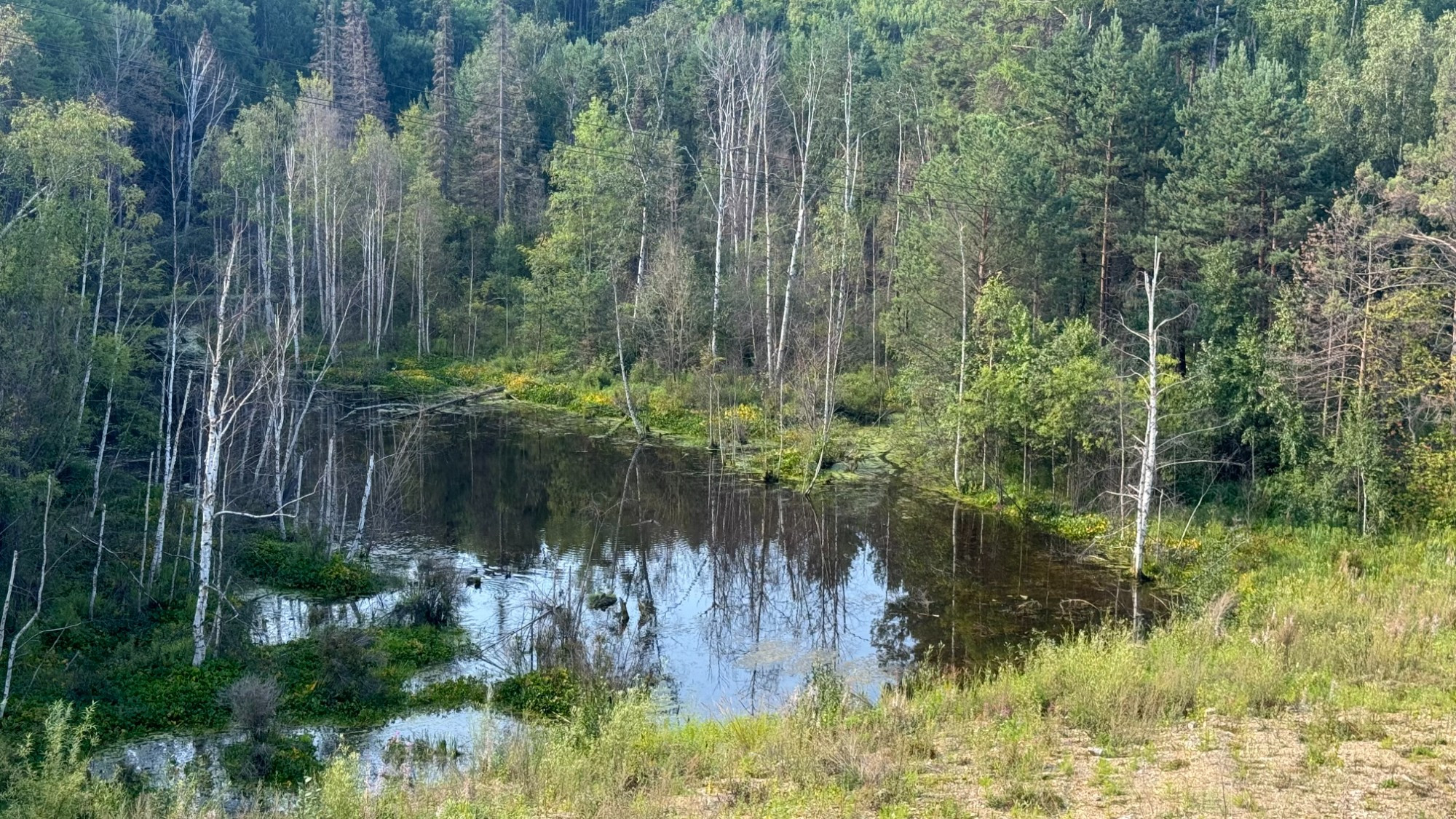 Maksimikha, Russia