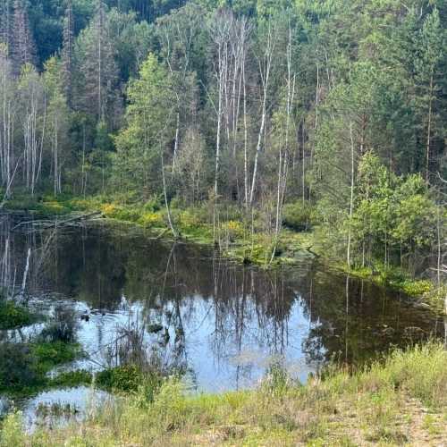 Максимиха, Россия