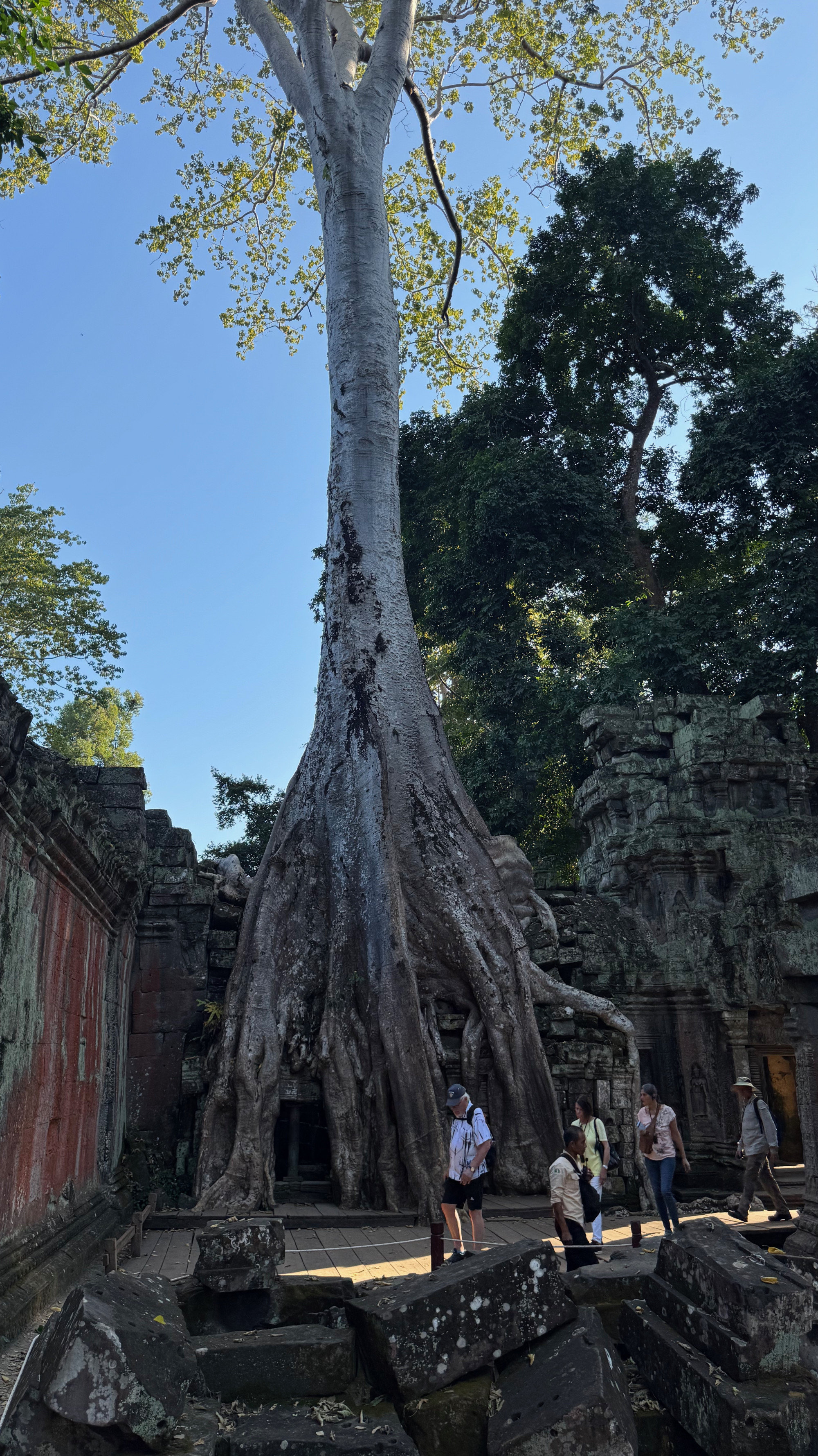 Angkor Wat, Cambodia