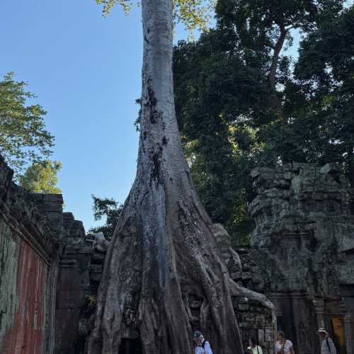 Angkor Wat, Cambodia