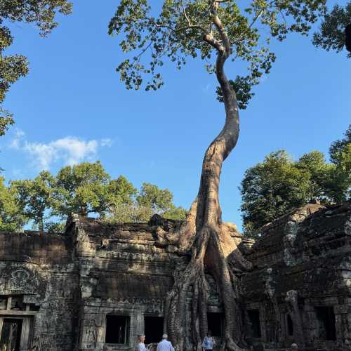 Angkor Wat, Cambodia