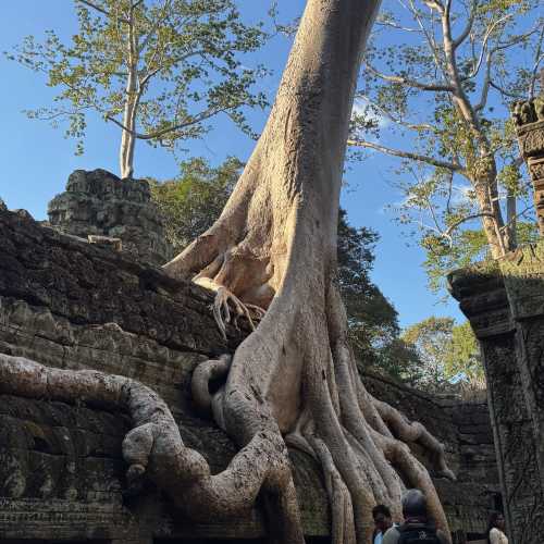 Angkor Wat, Cambodia