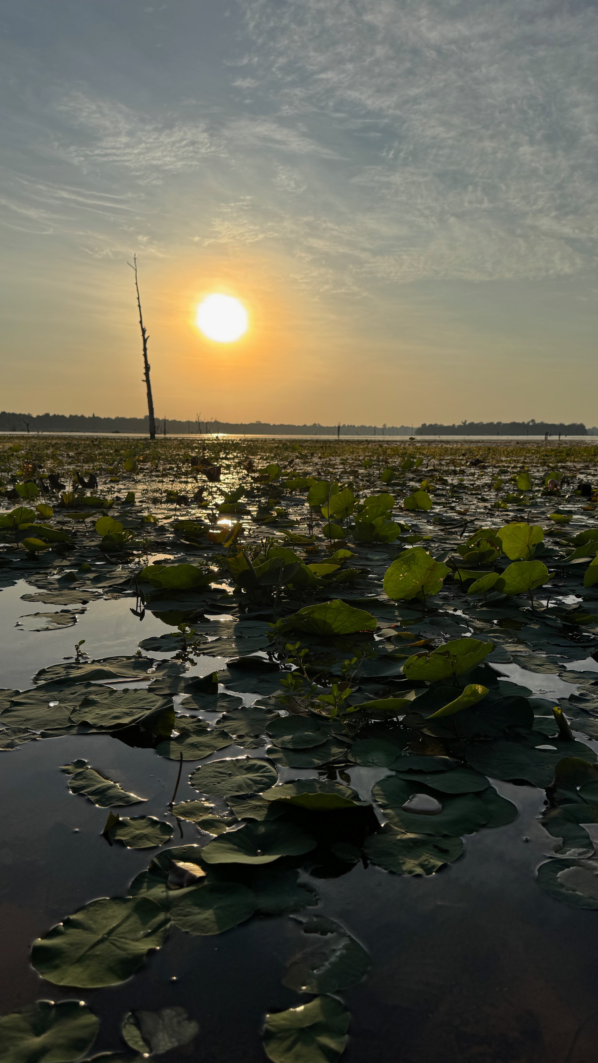 Angkor Wat, Cambodia