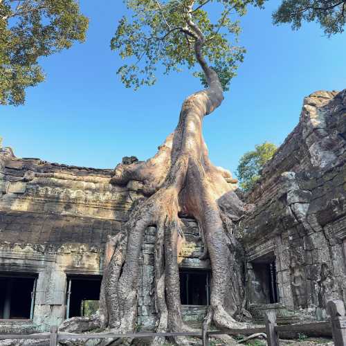 Angkor Wat, Cambodia