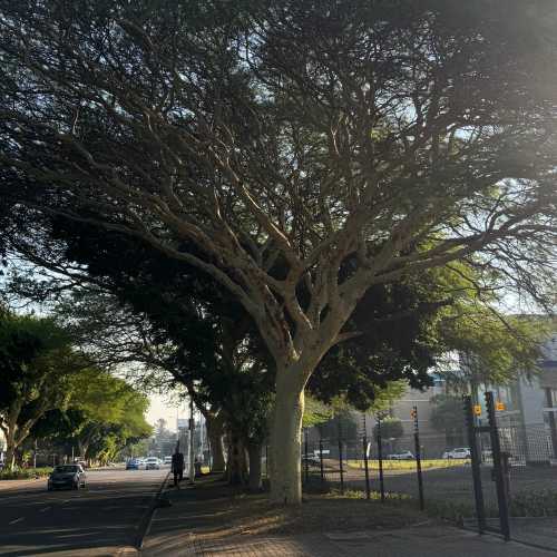 Дурбан, ЮАР