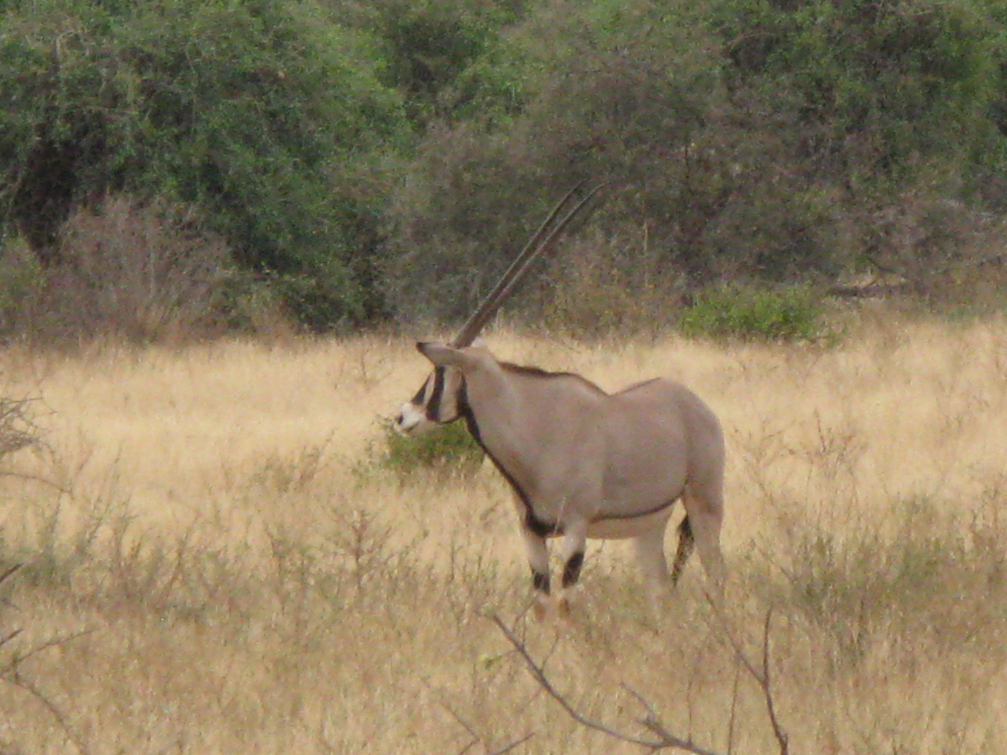 Kenya