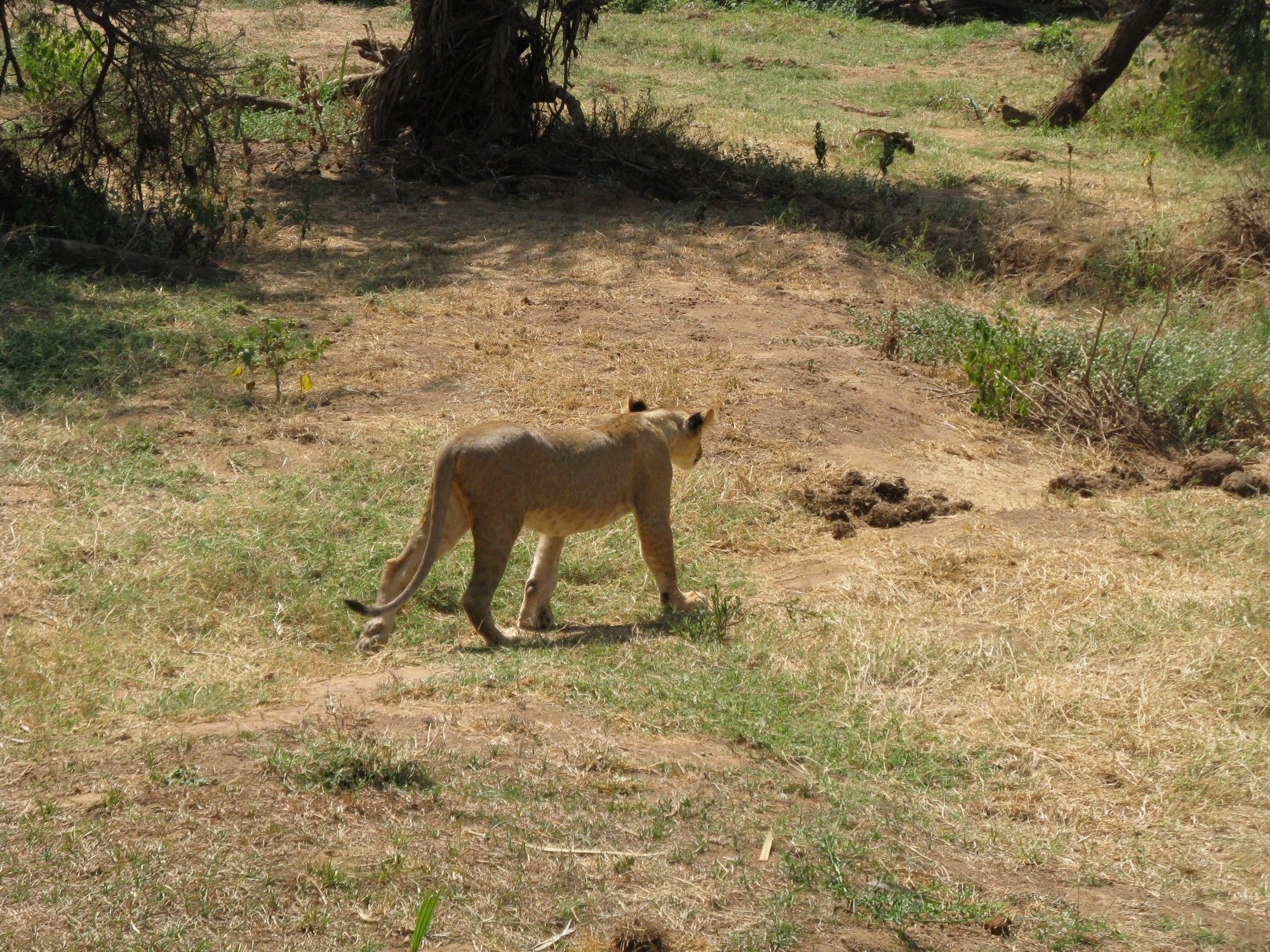 Kenya