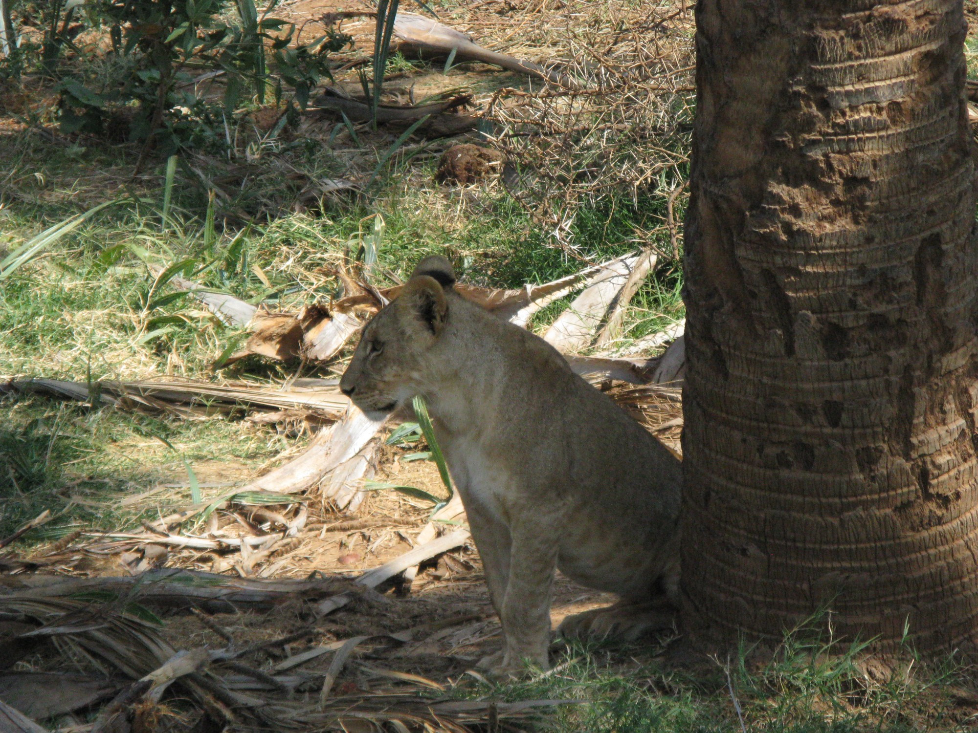 Kenya