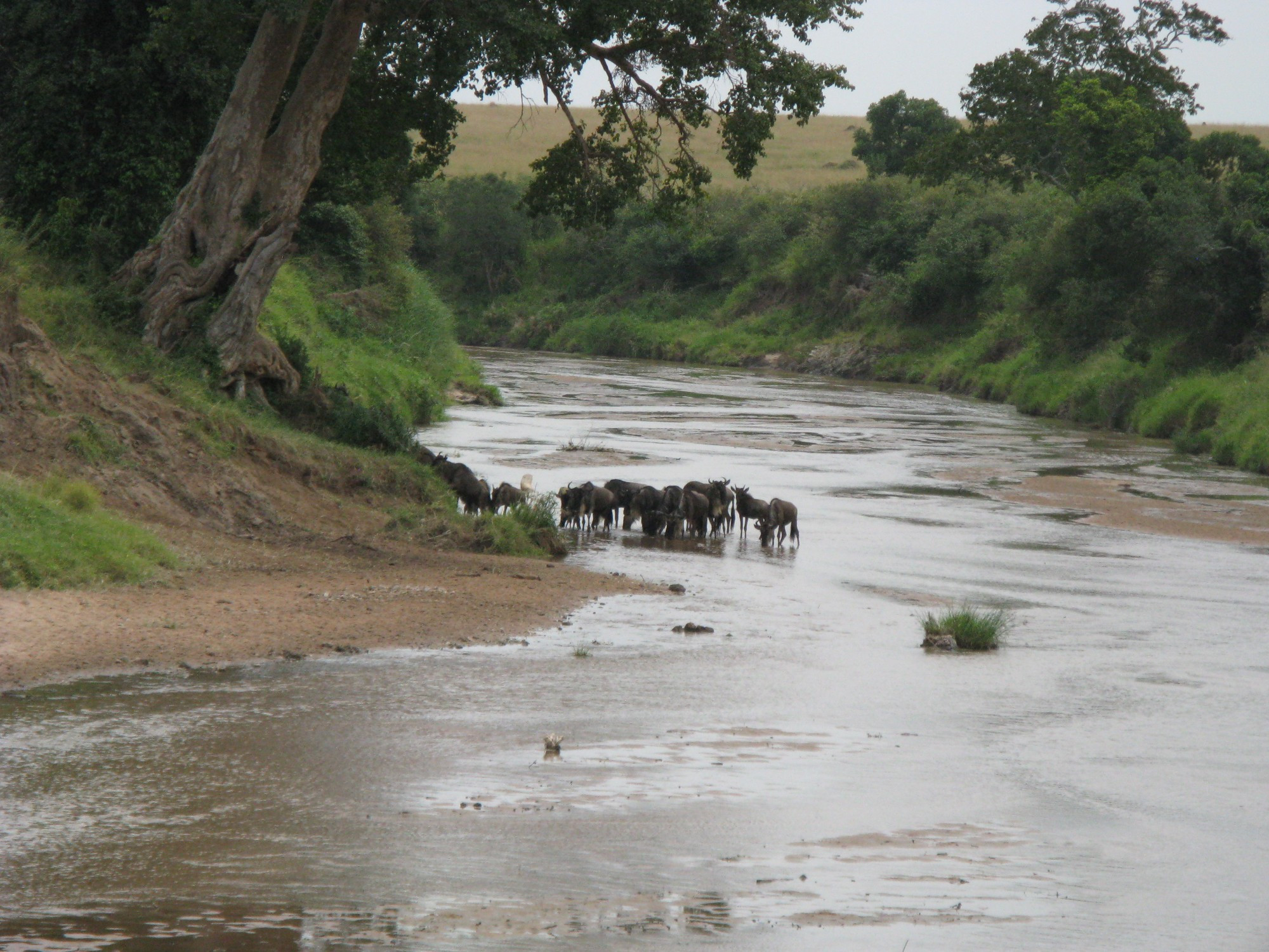 Kenya