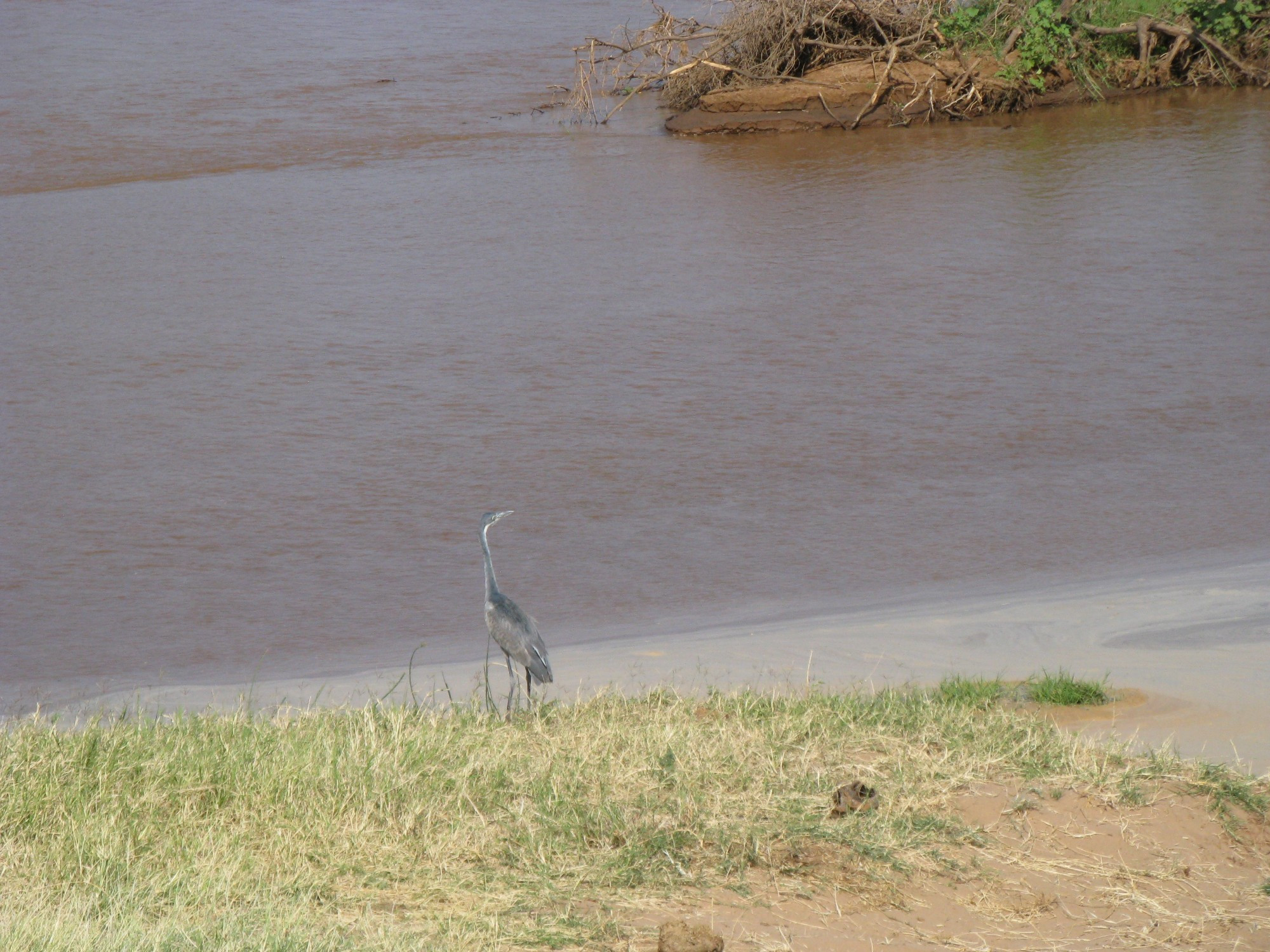 Kenya