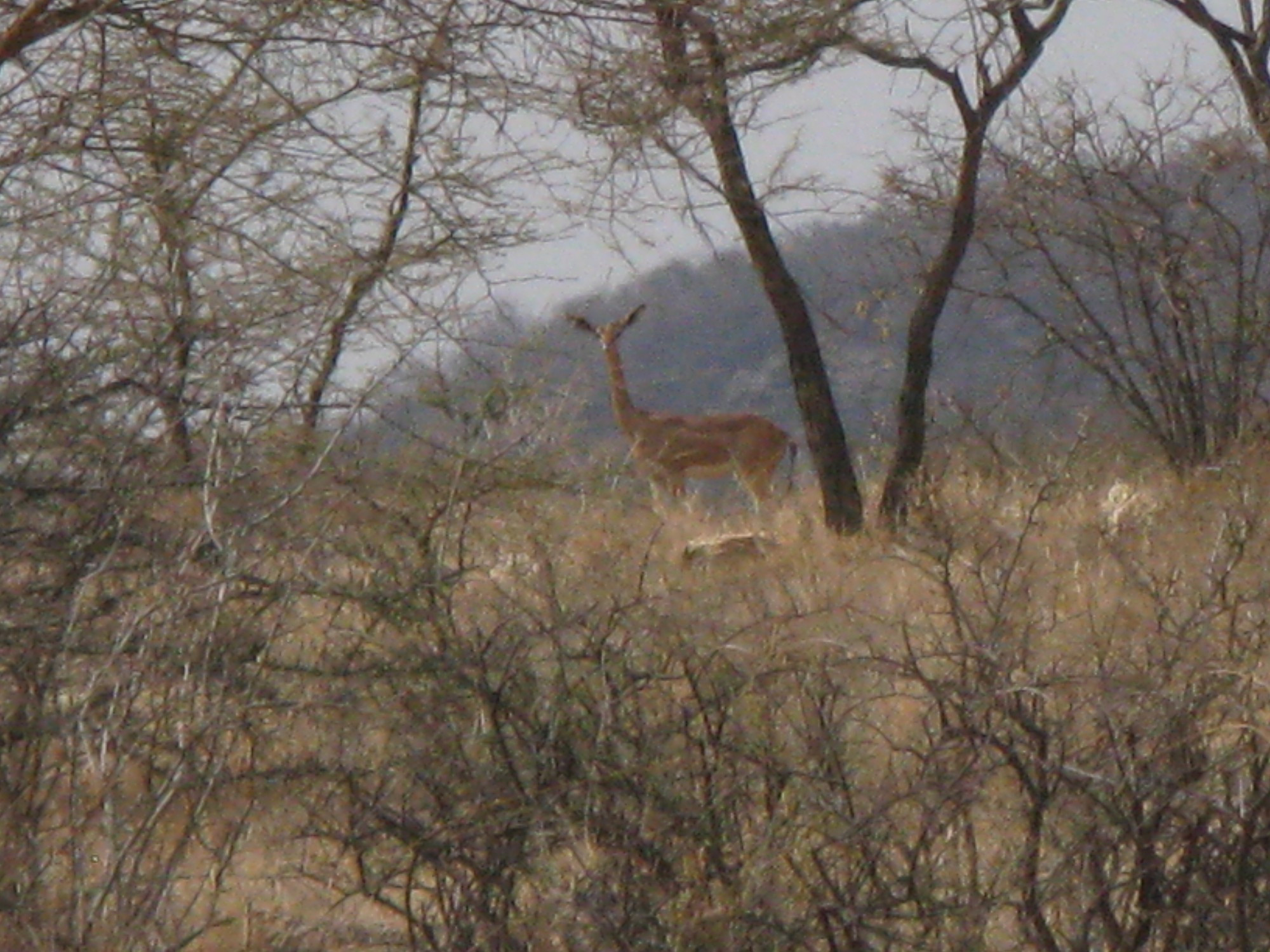 Kenya