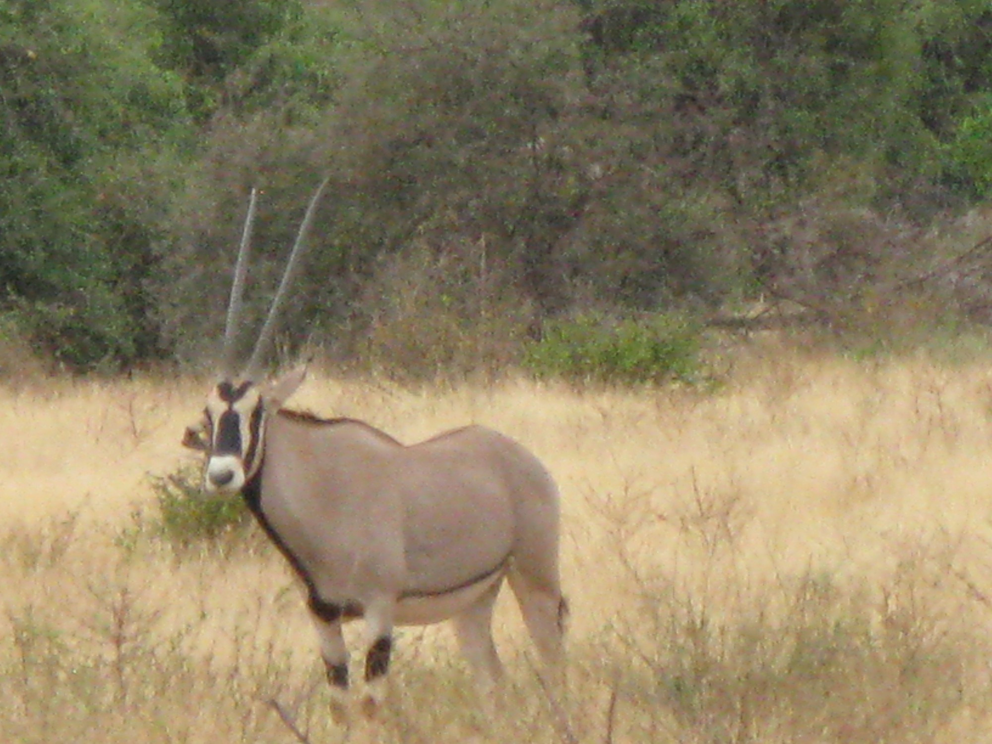 Kenya