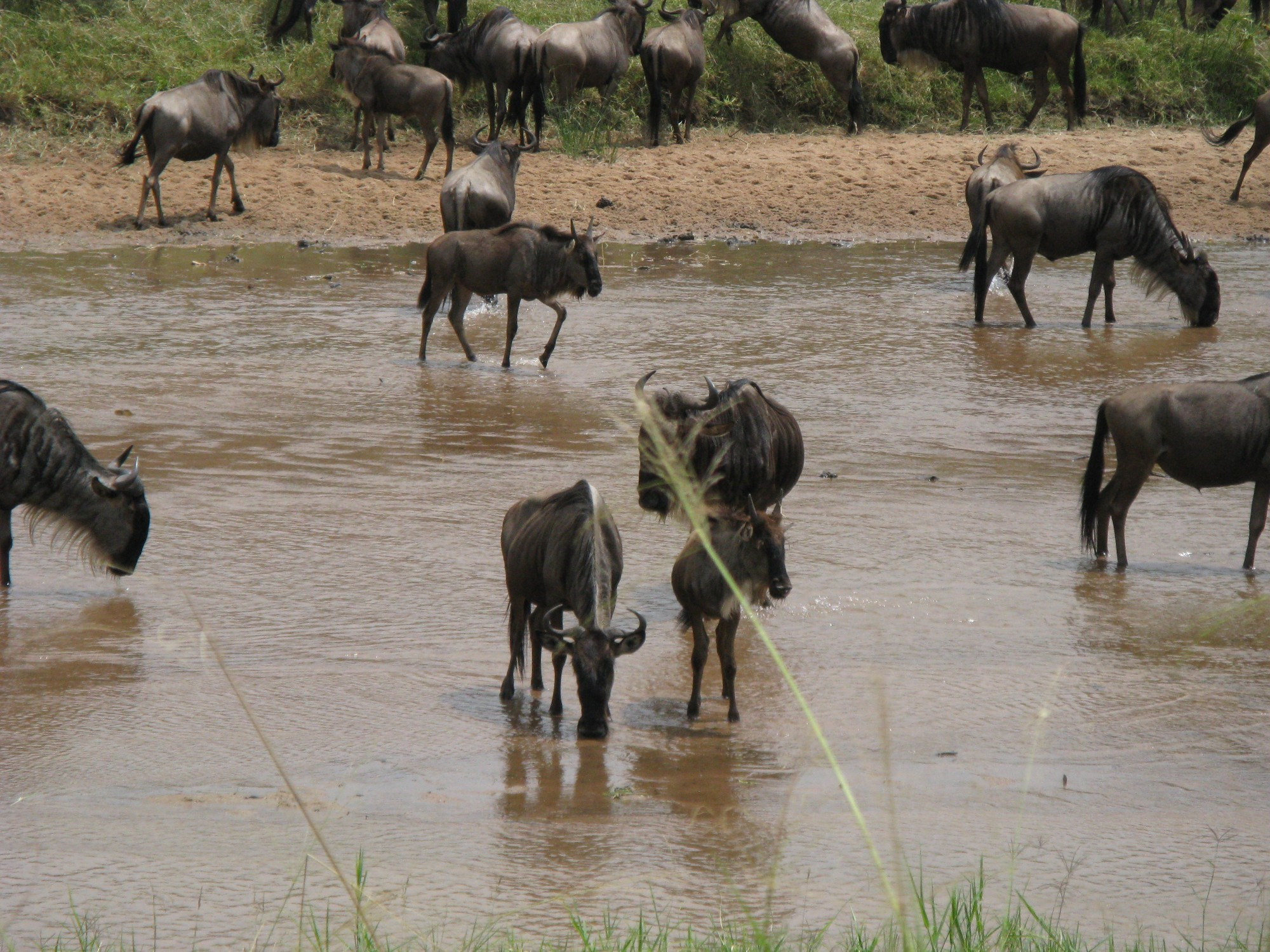 Kenya