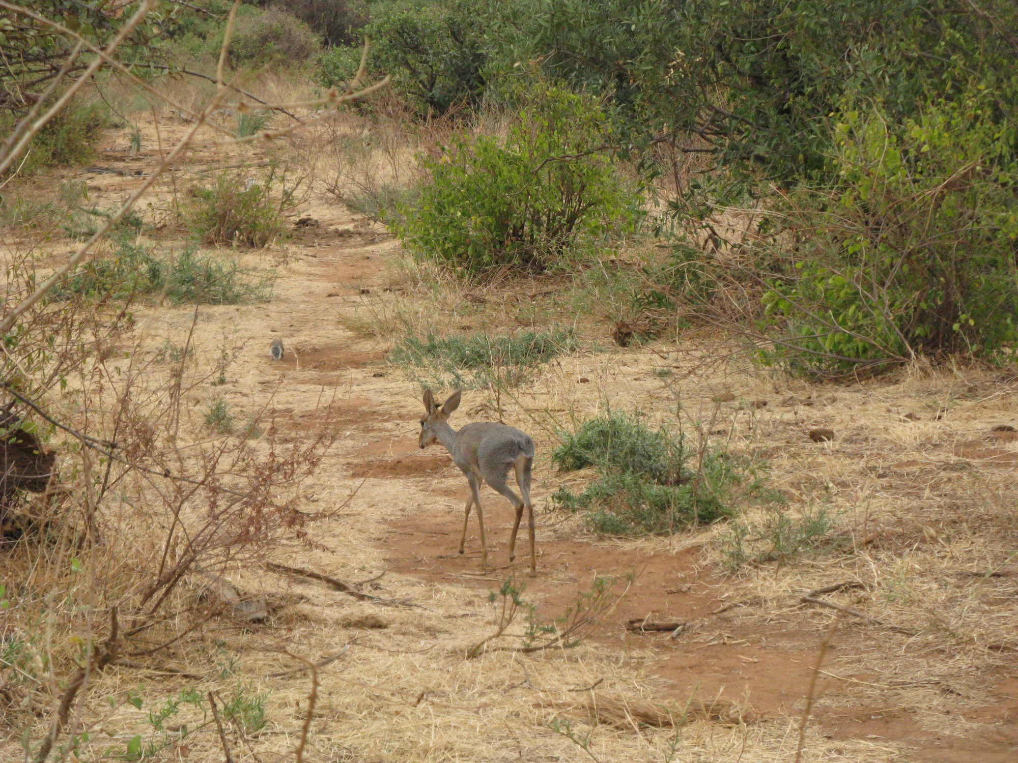 Kenya