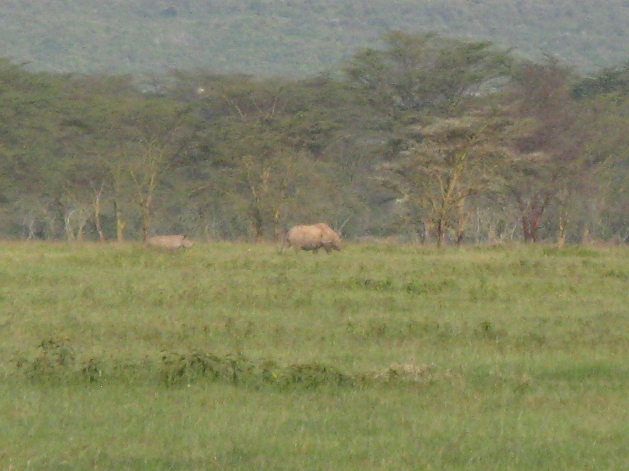 Kenya