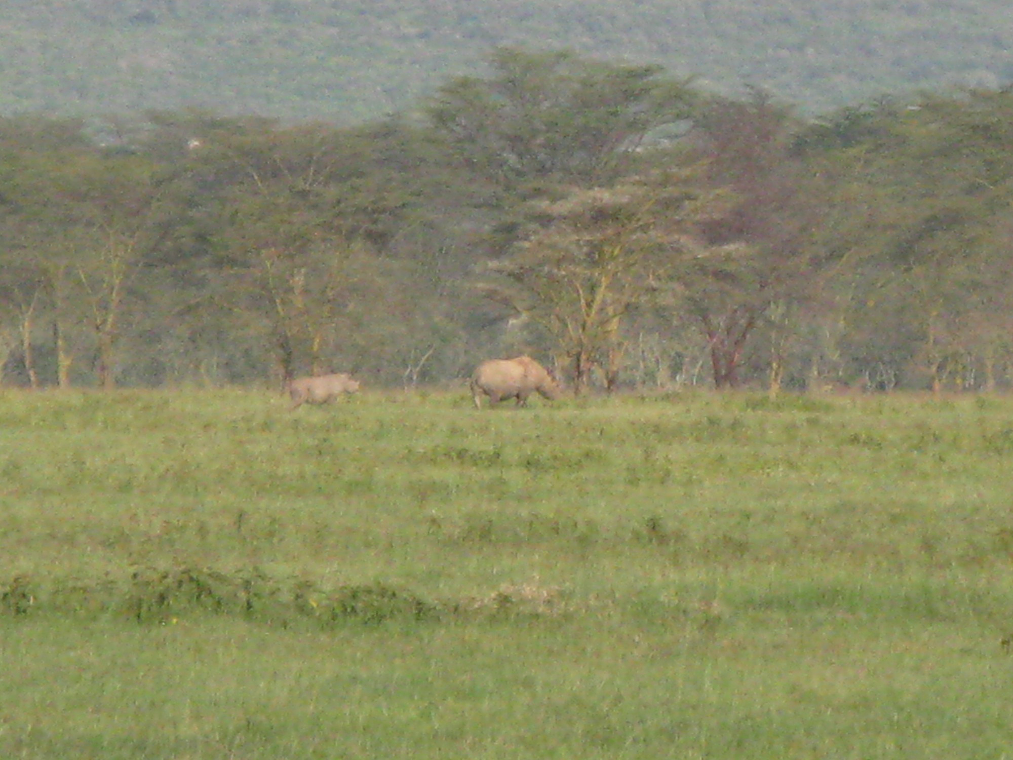 Kenya