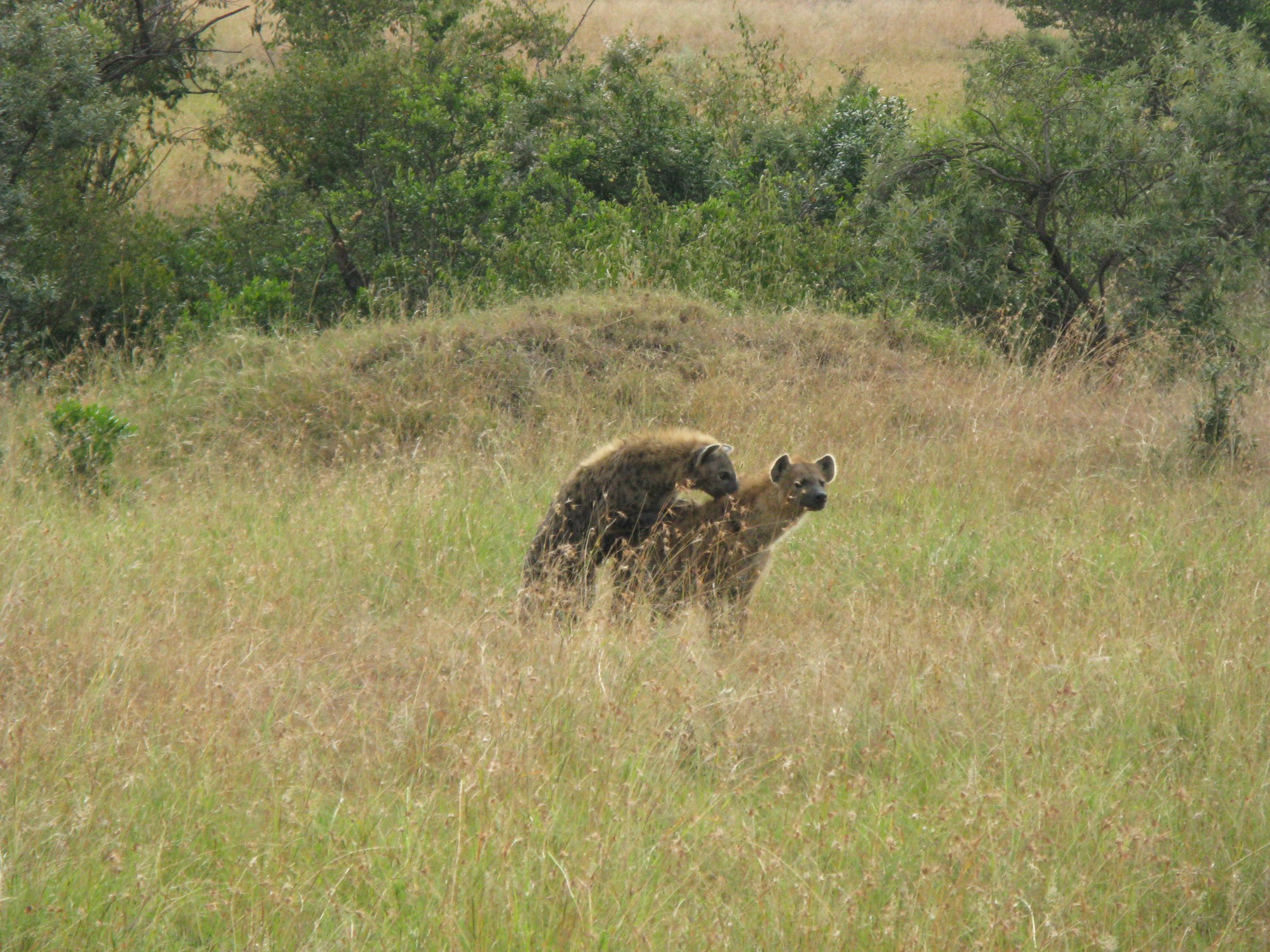 Kenya