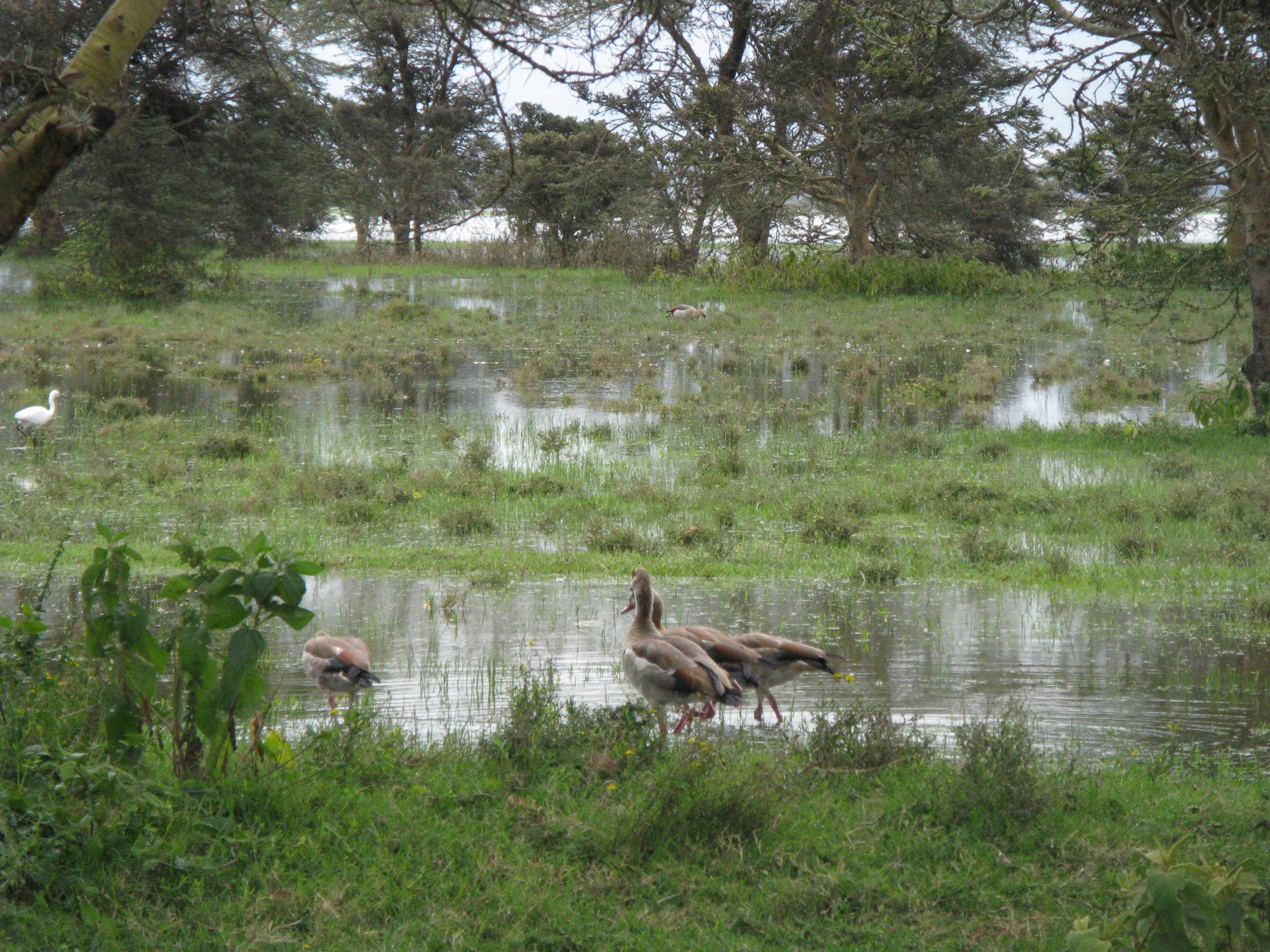 Kenya