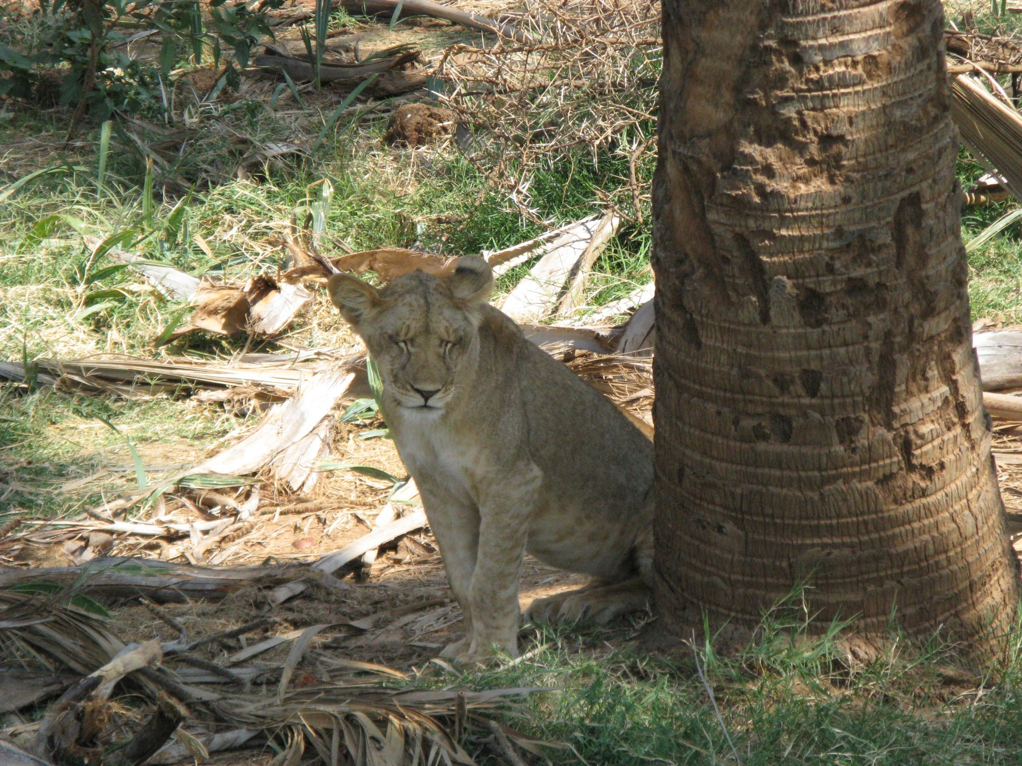 Kenya