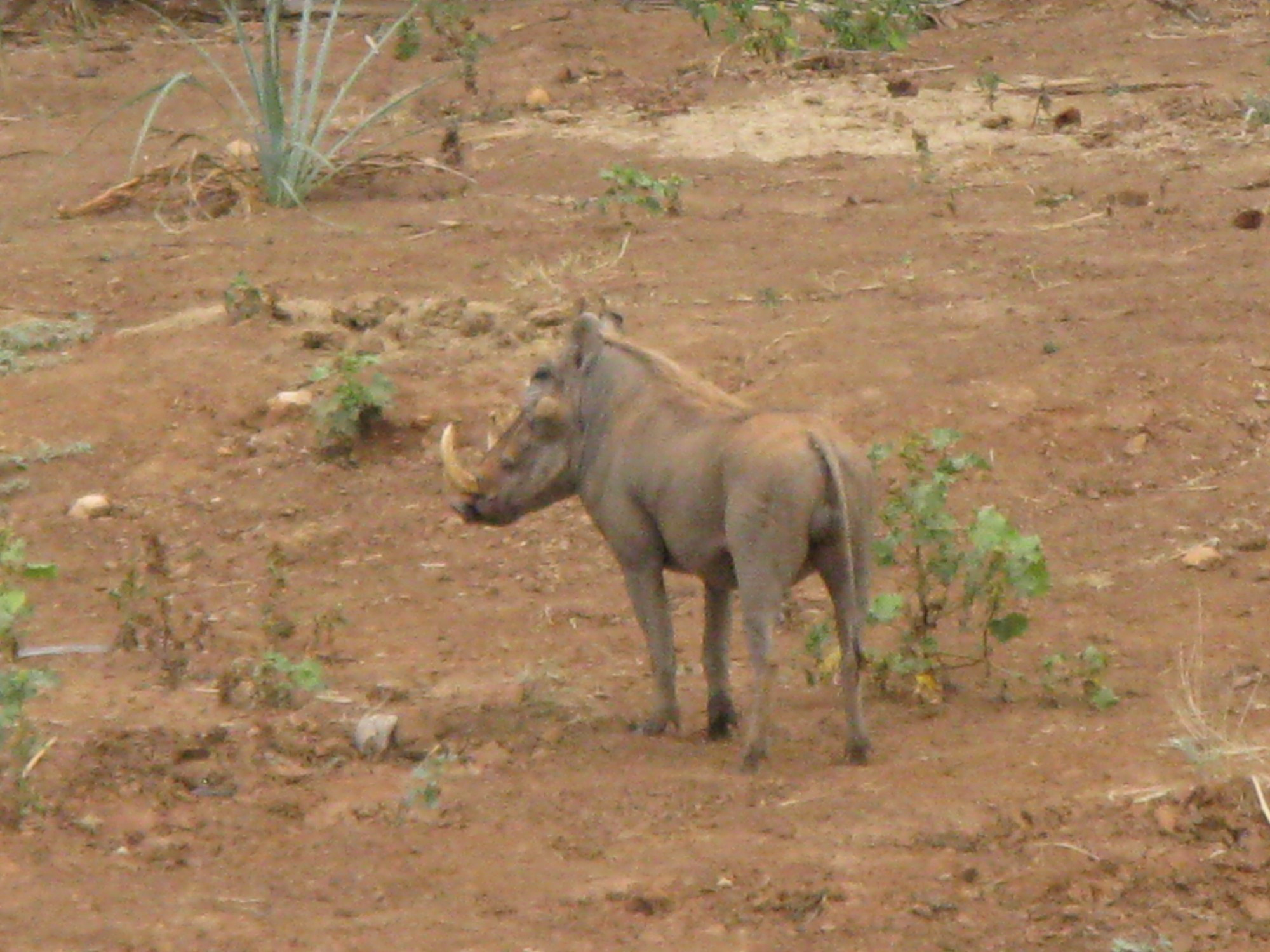 Kenya