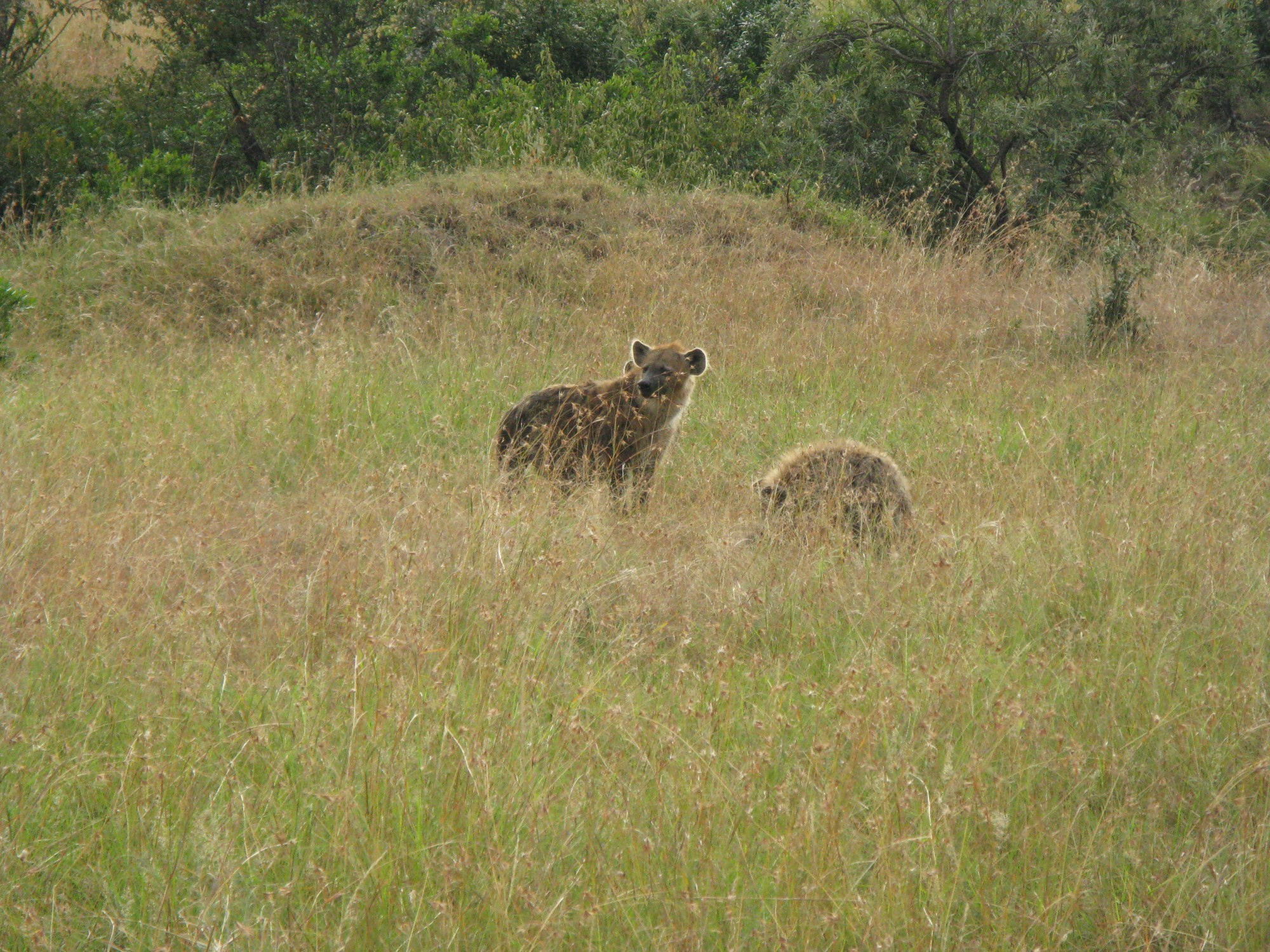 Kenya