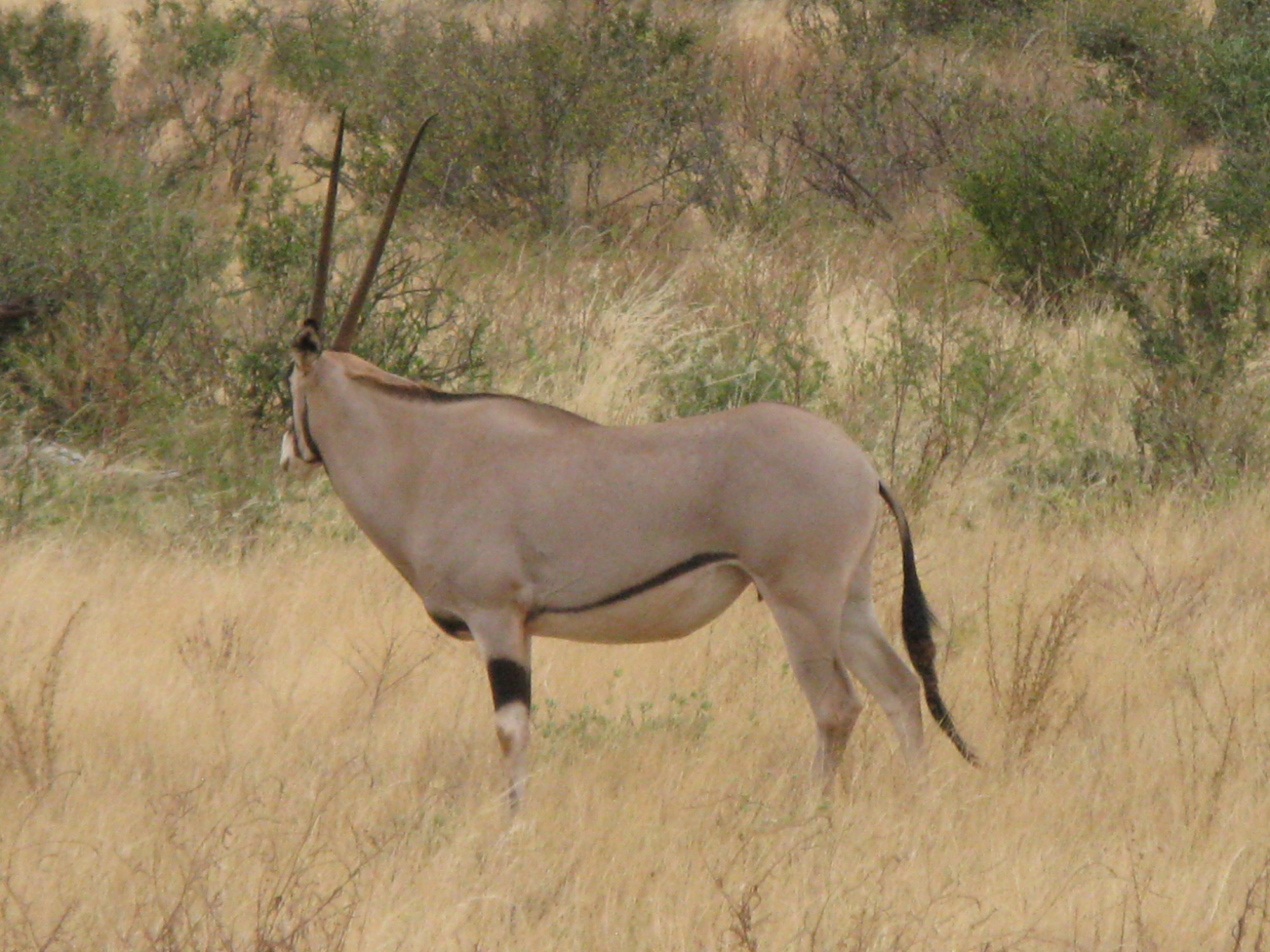 Kenya