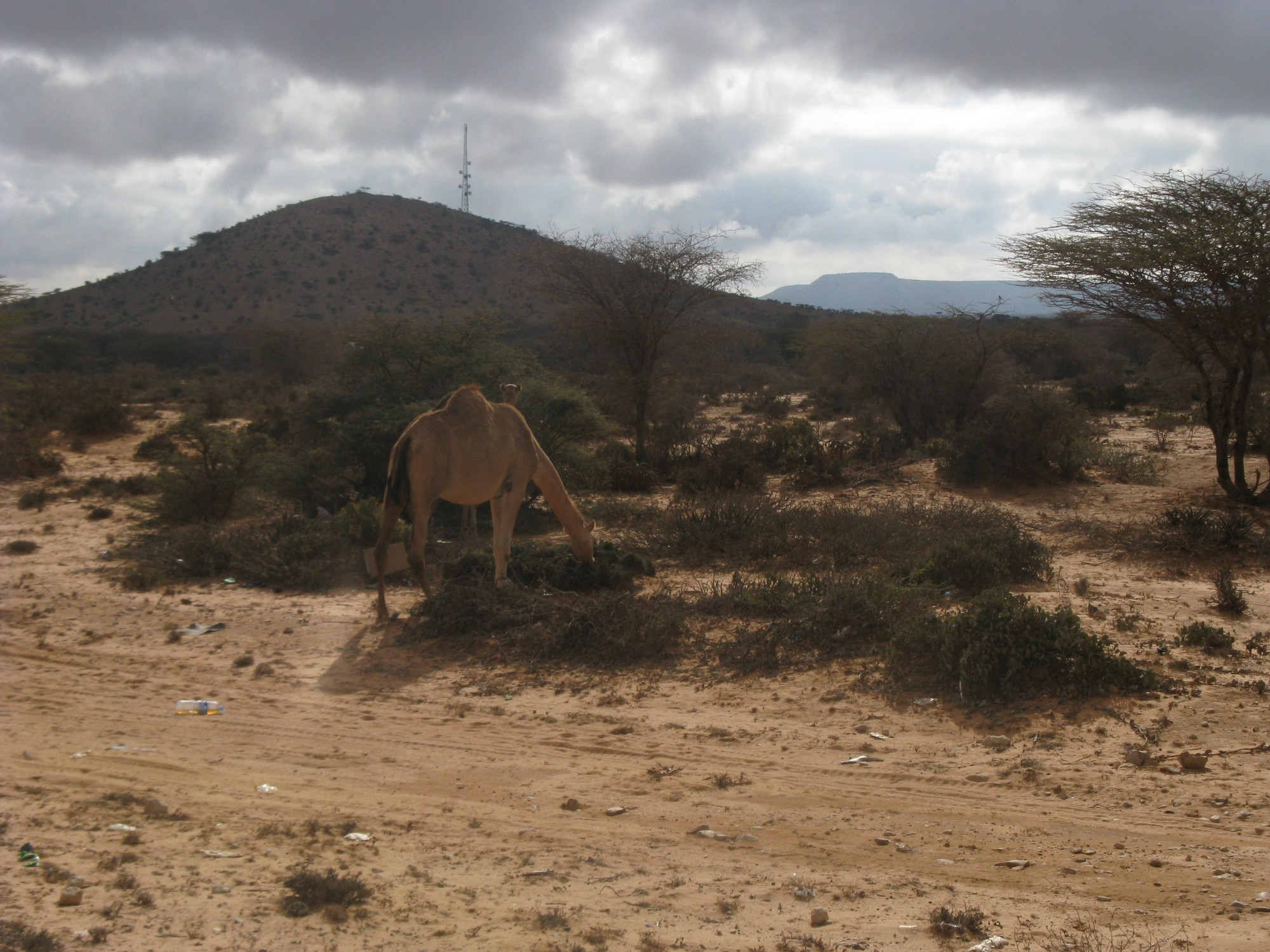 Somalia