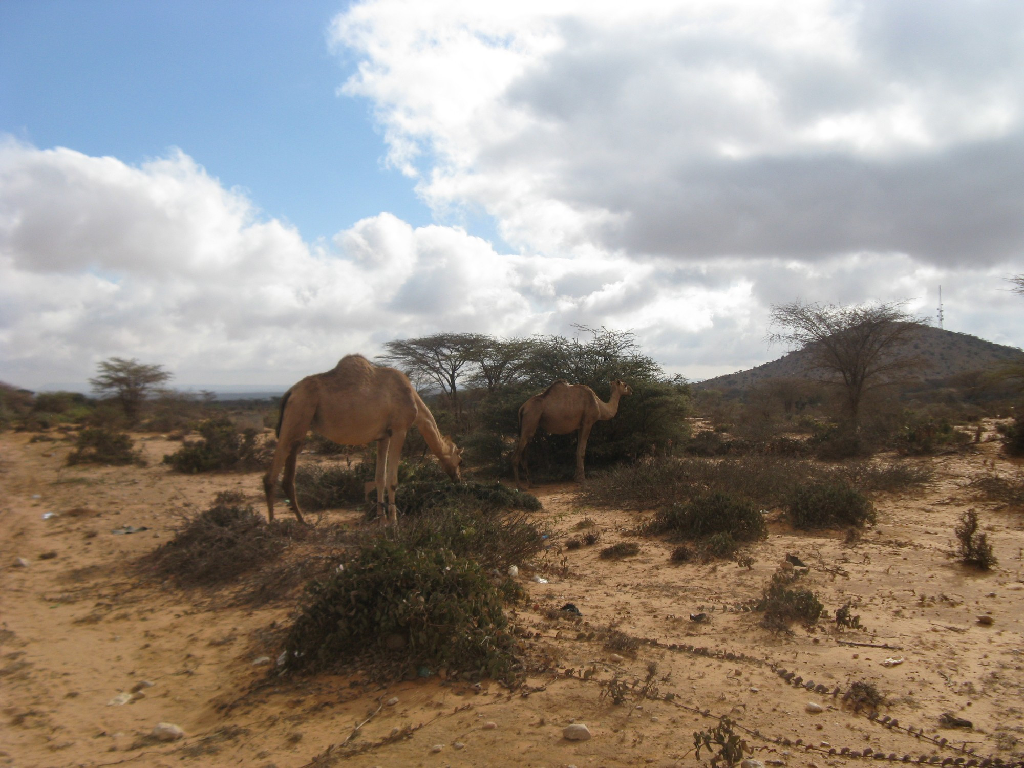 Somalia