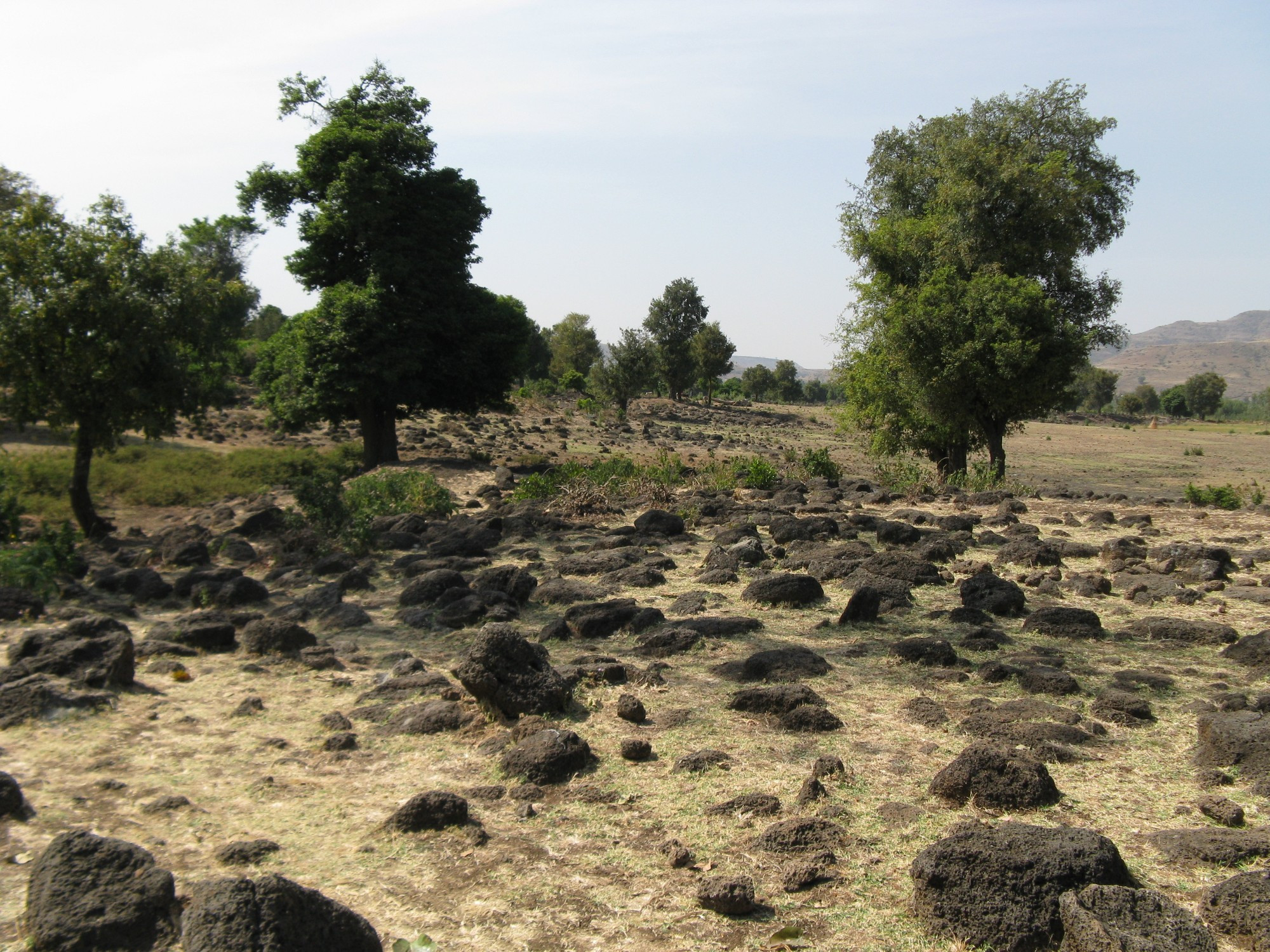 Ethiopia