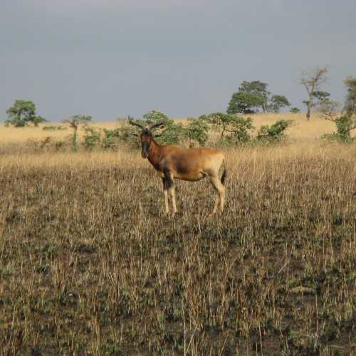 Ethiopia