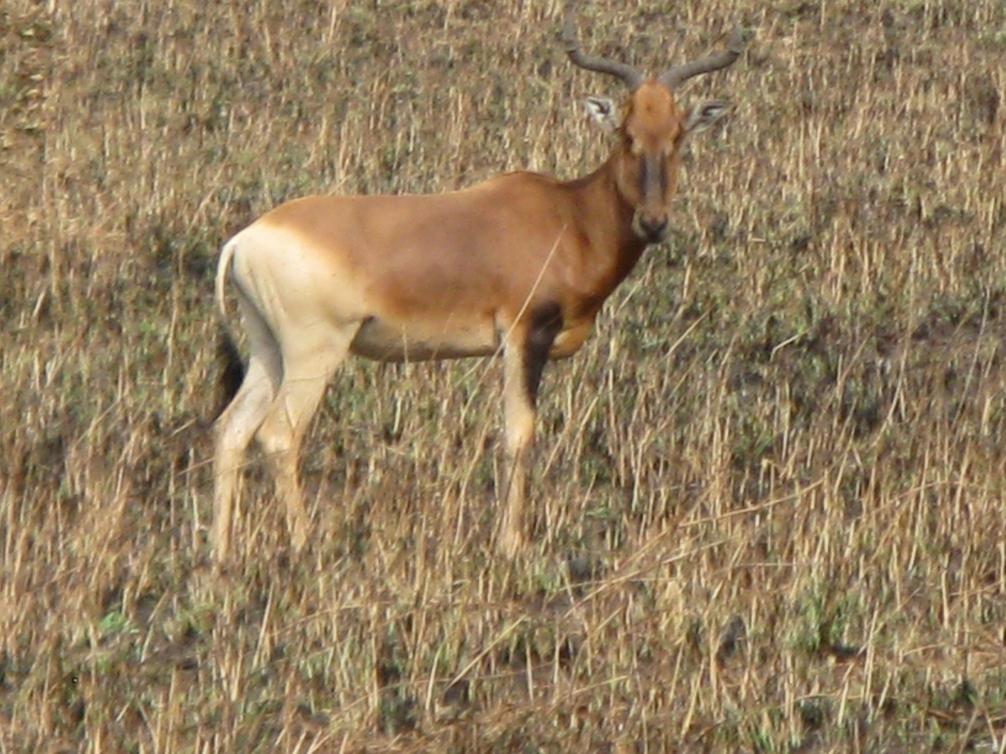 Ethiopia