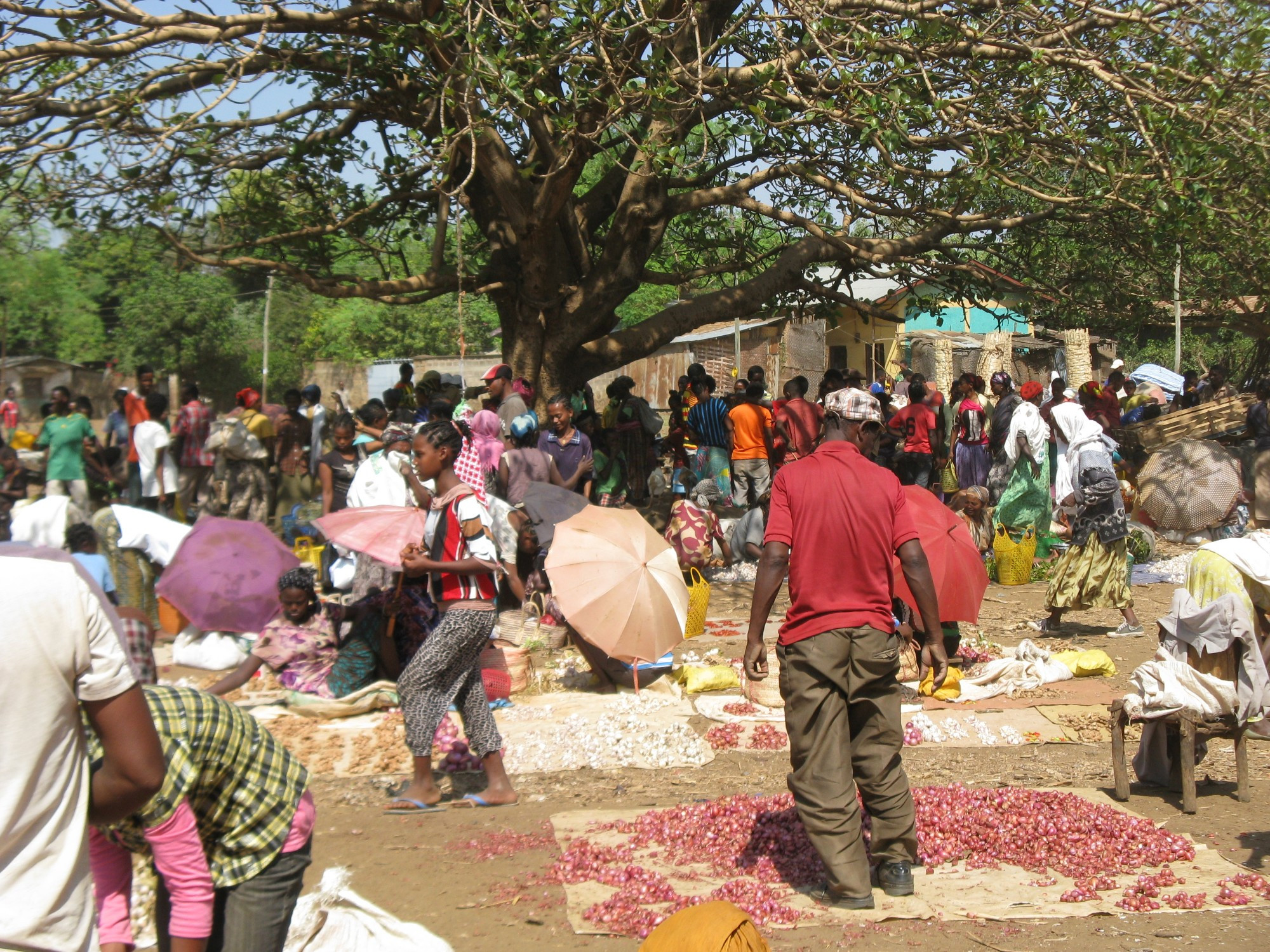 Ethiopia