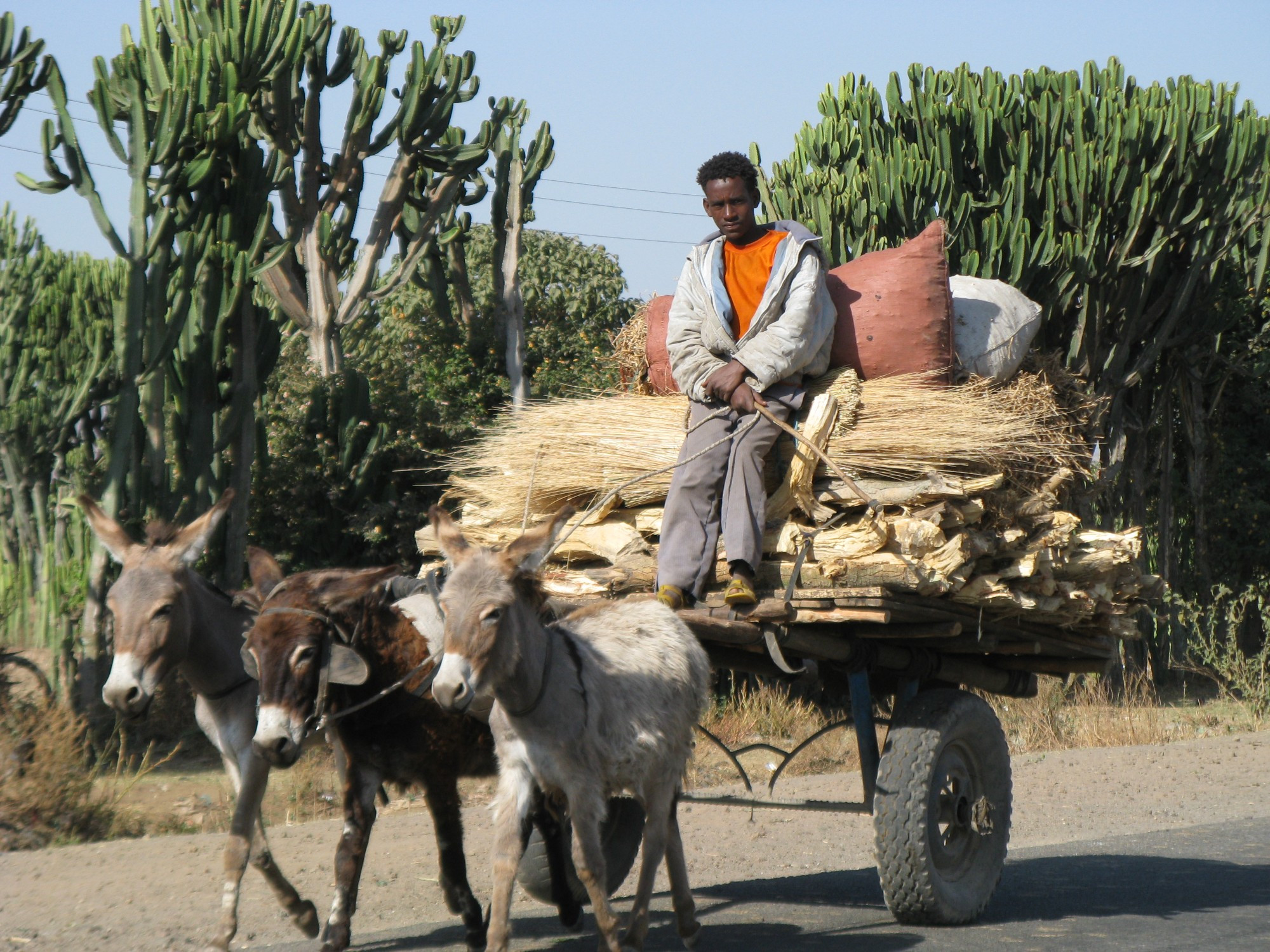 Ethiopia