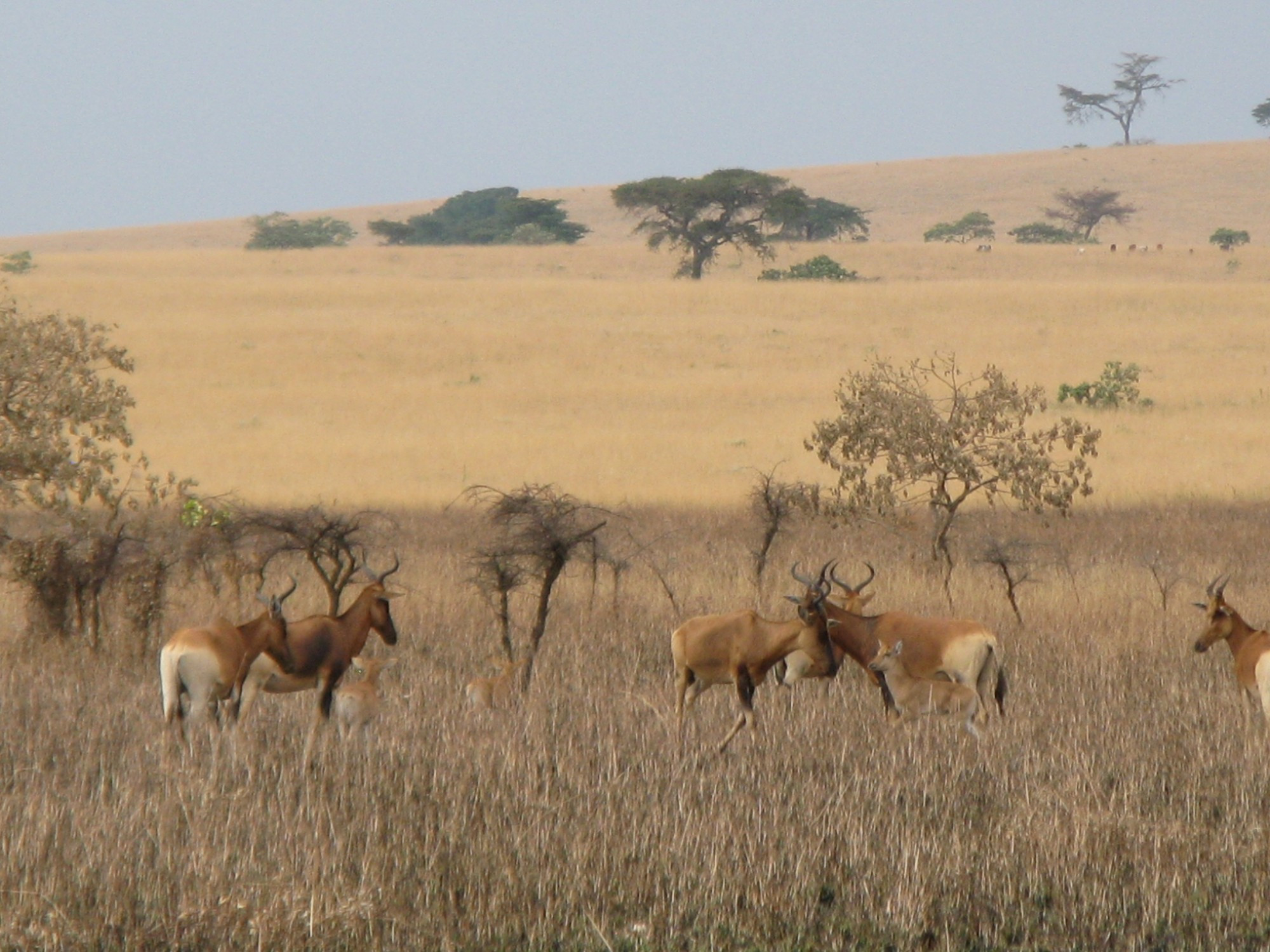 Ethiopia