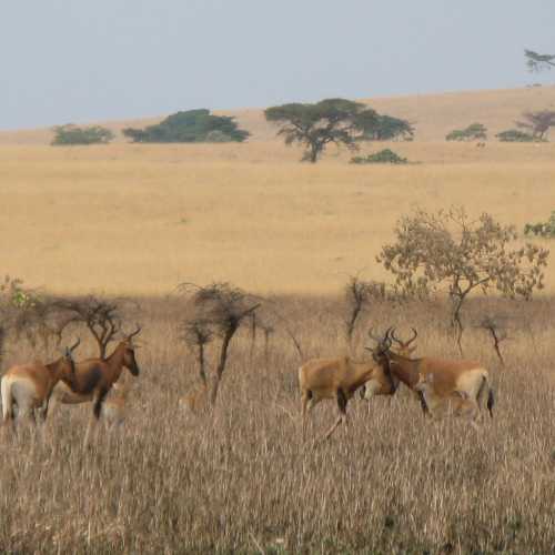 Ethiopia