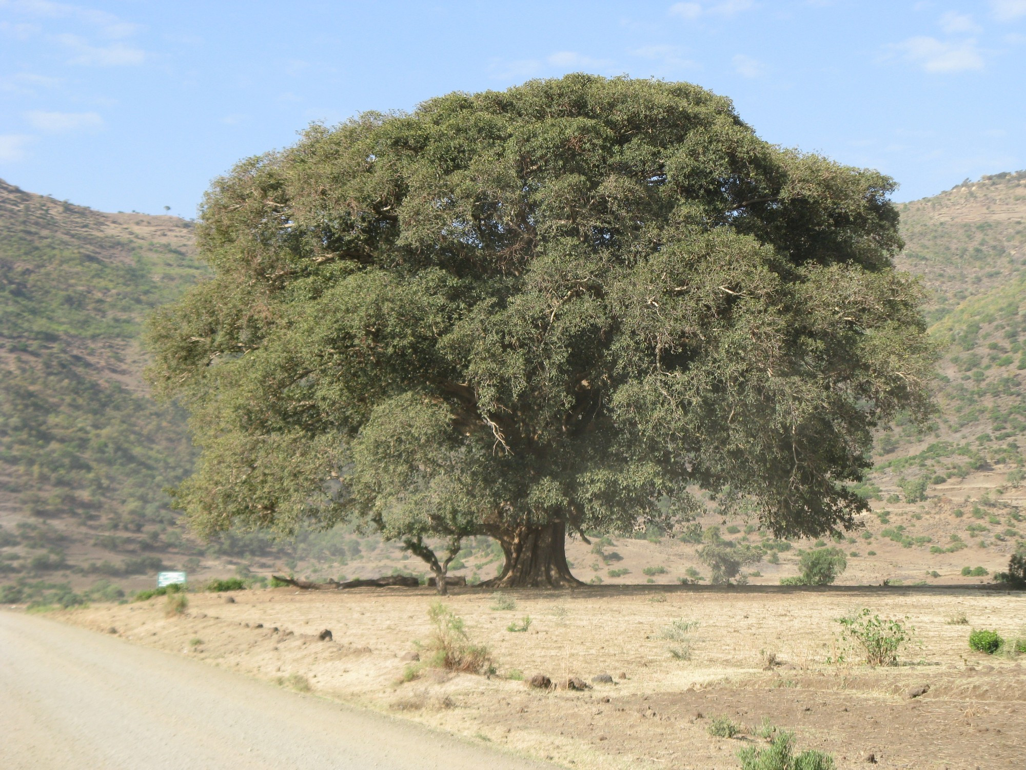 Ethiopia